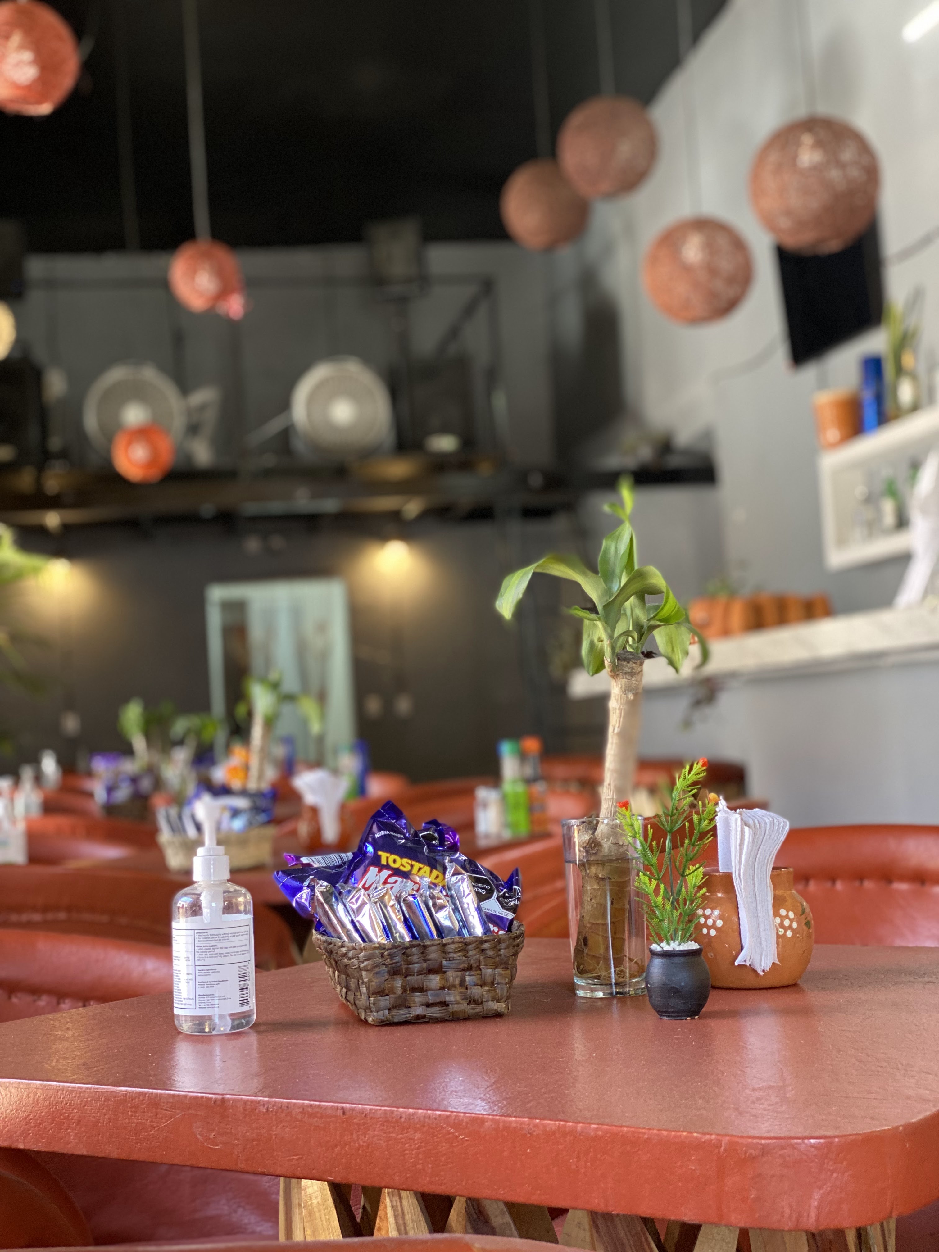 LOS AMORES DE VICTORIA image 4