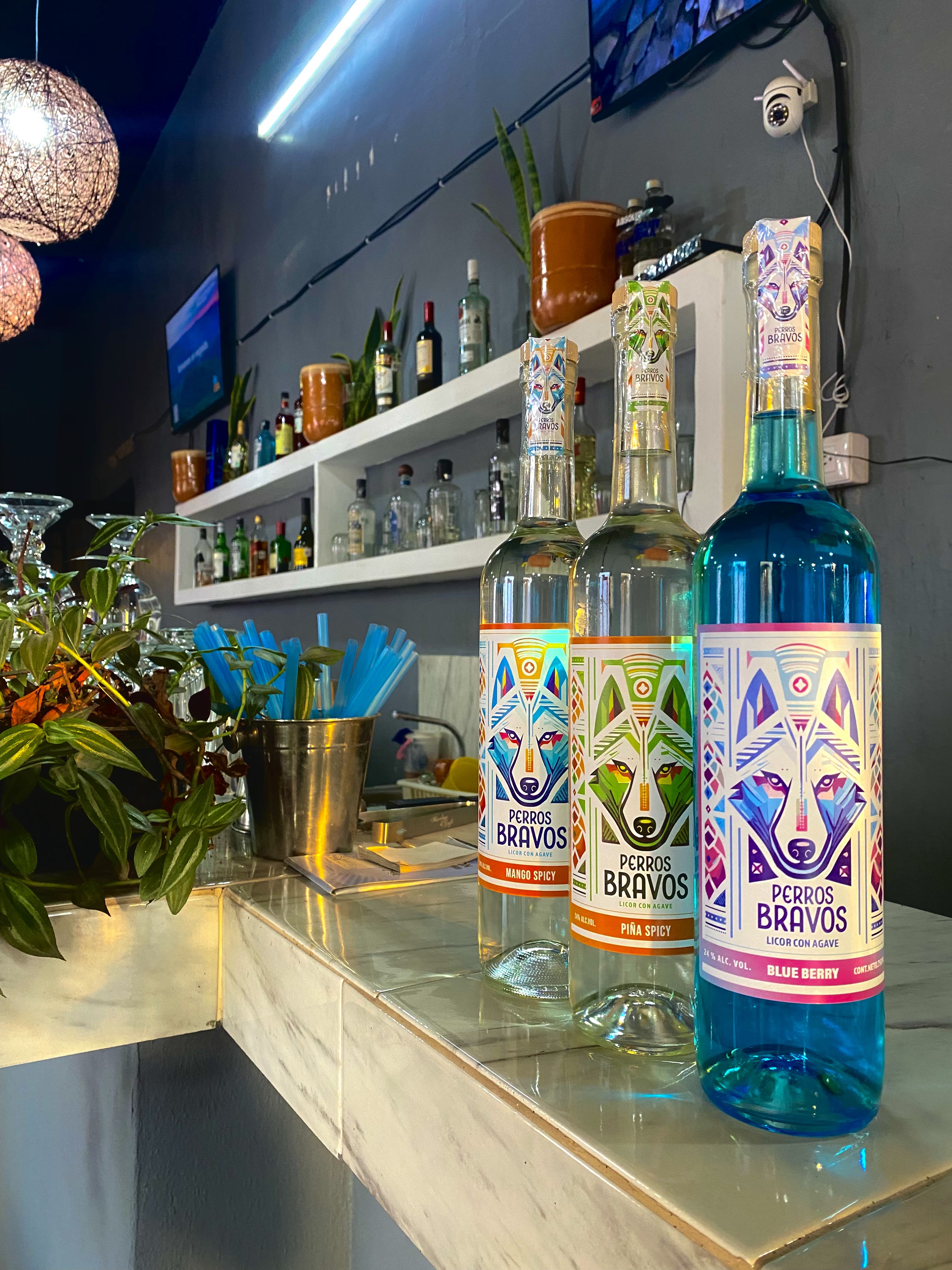 LOS AMORES DE VICTORIA image 9