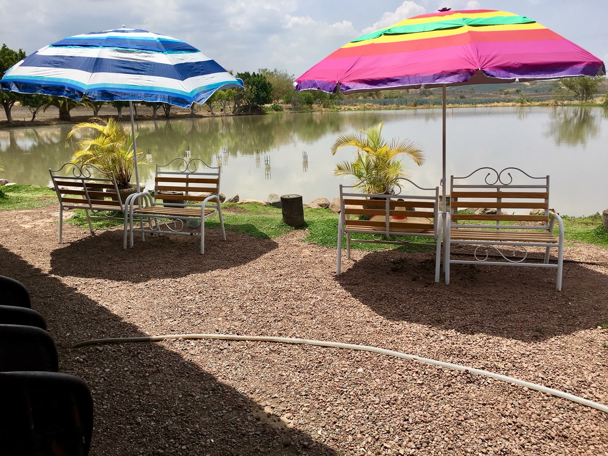 Paraiso del llano image 1