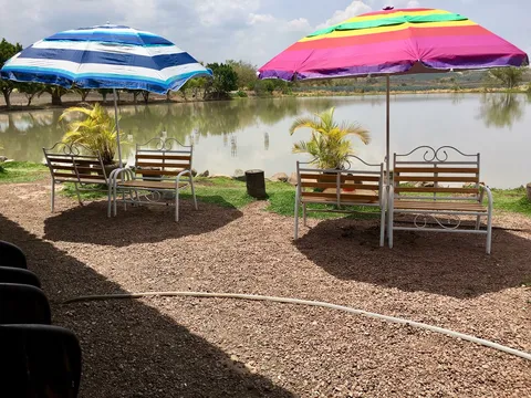 Paraiso del llano image 1