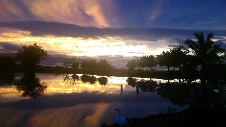 Paraiso del llano image 4