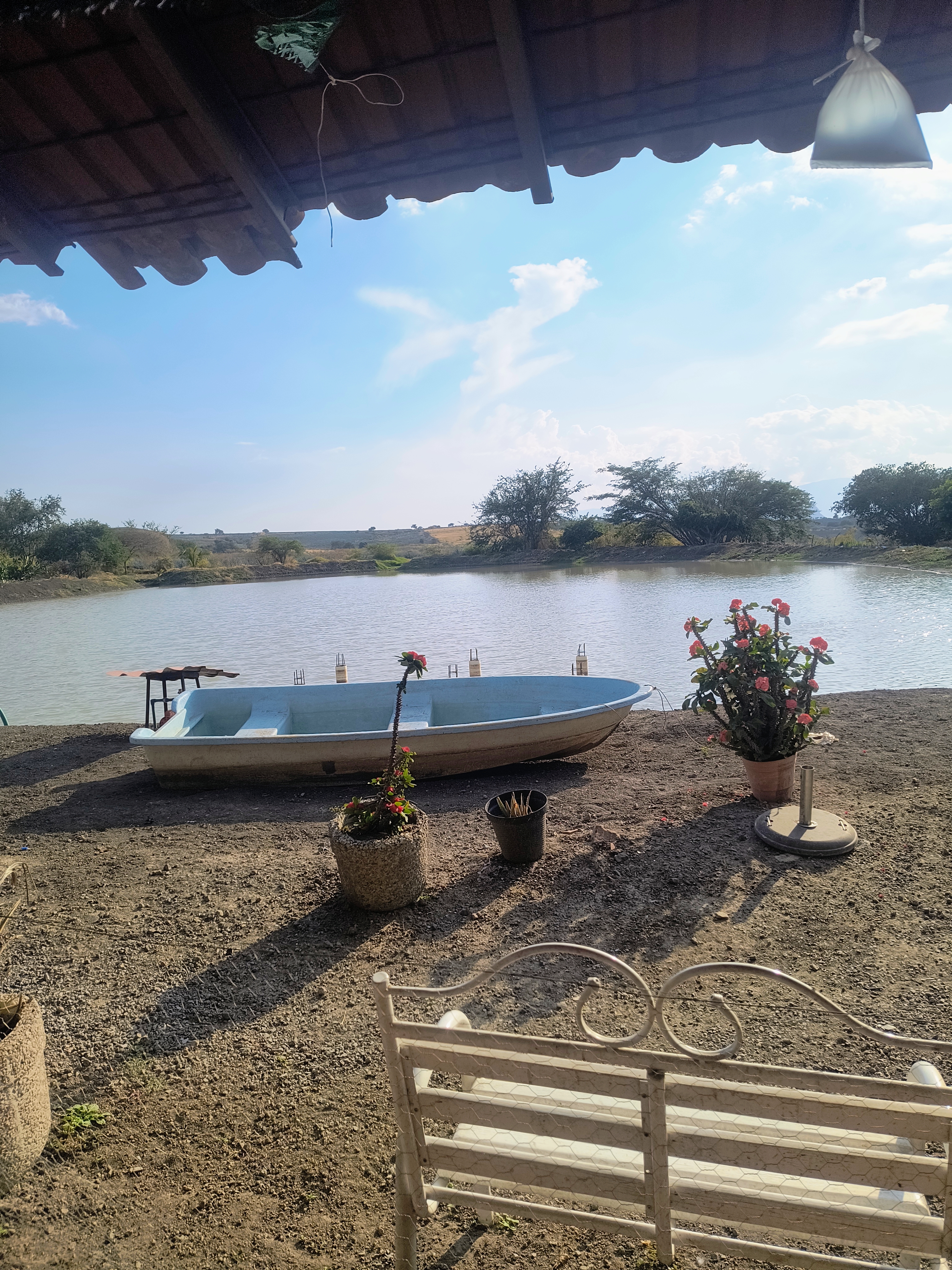 Paraiso del llano image 5