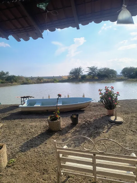 Paraiso del llano image 5