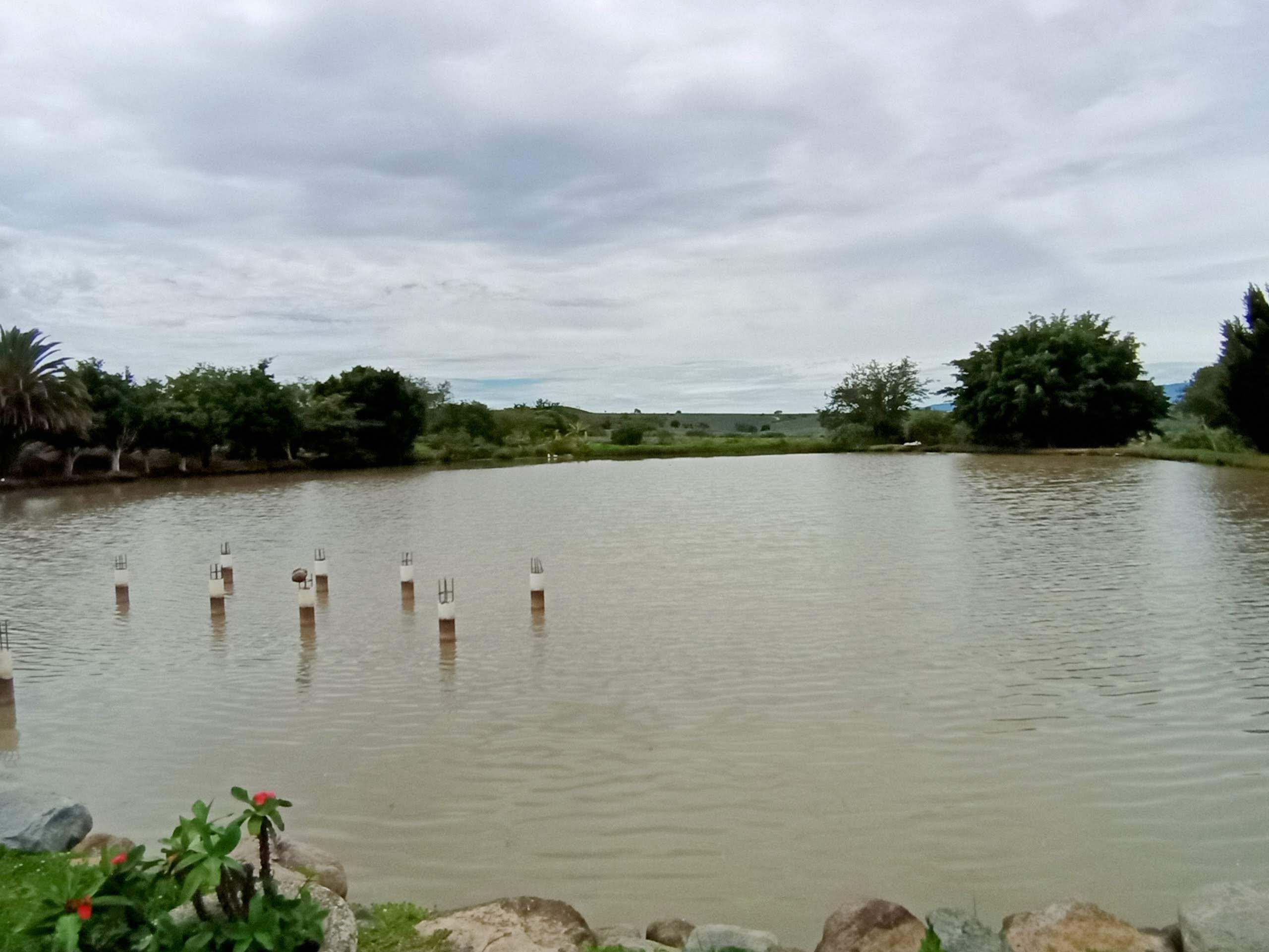 Paraiso del llano image 9