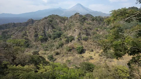El Jacal de San Antonio image 6