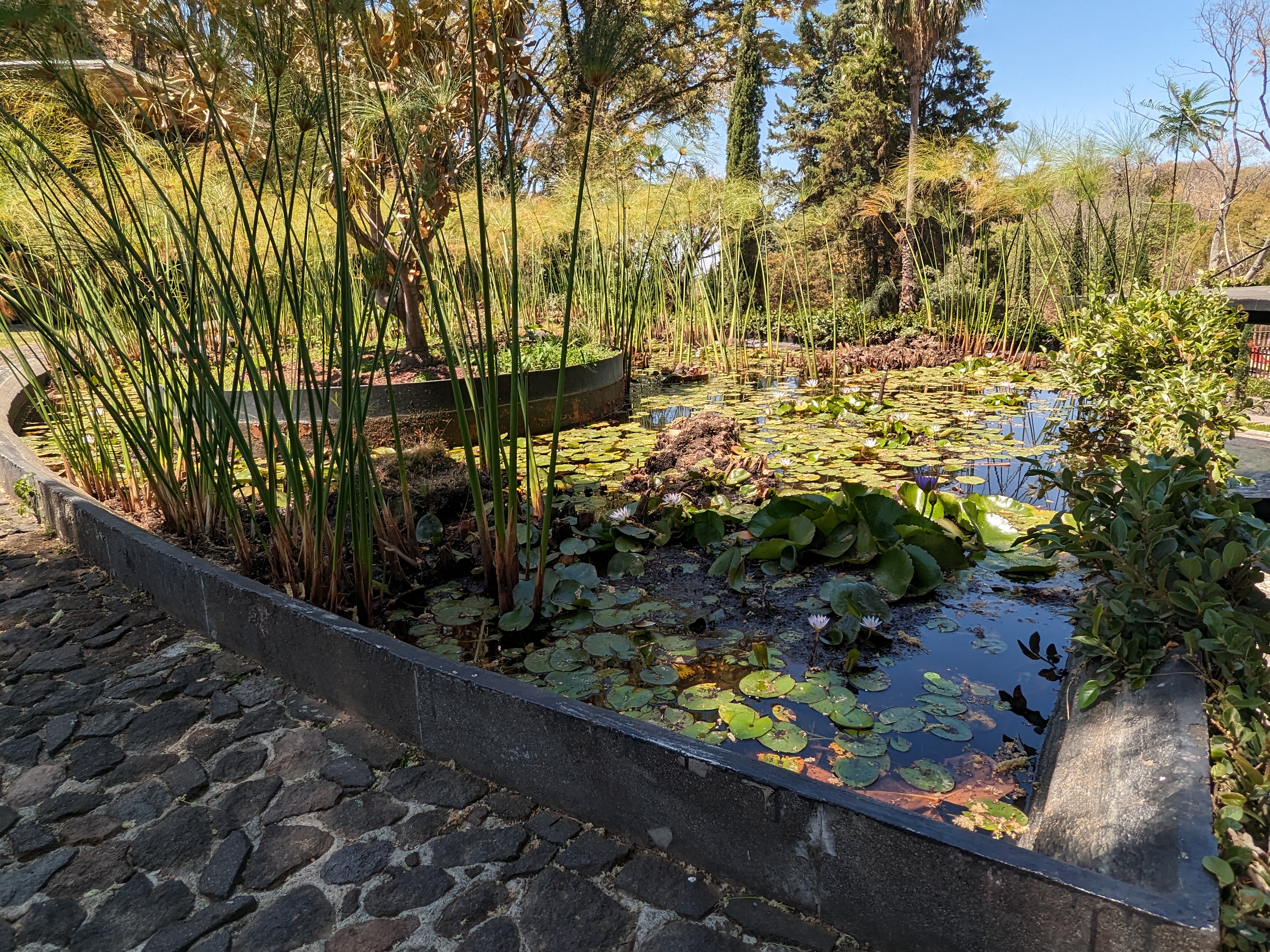 El Jacal de San Antonio image 7