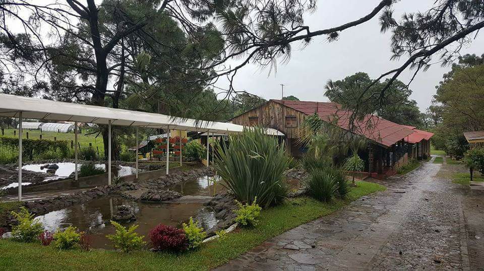 Restaurante El Zaguán image 3