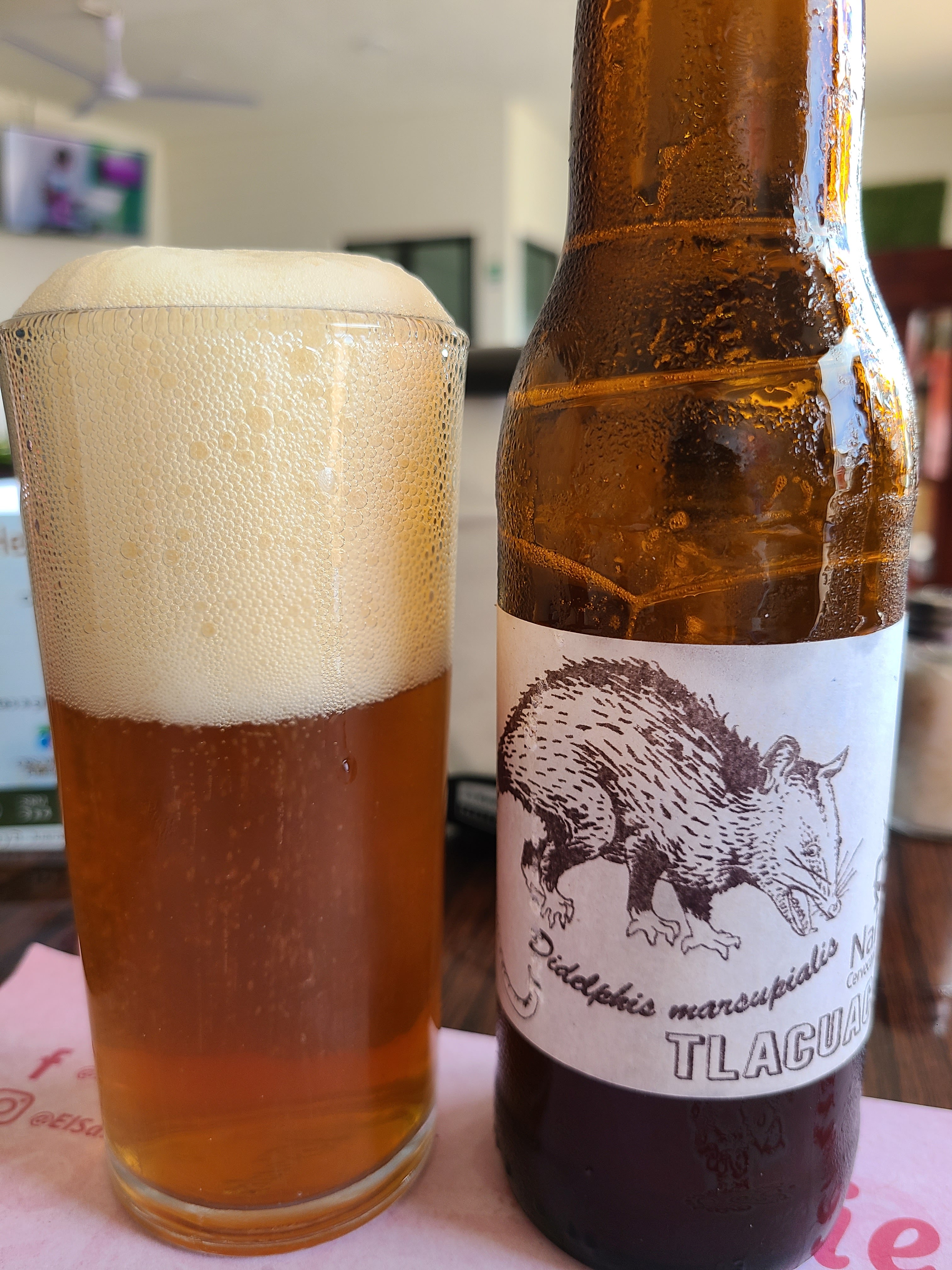 El Sanjuanero image 3