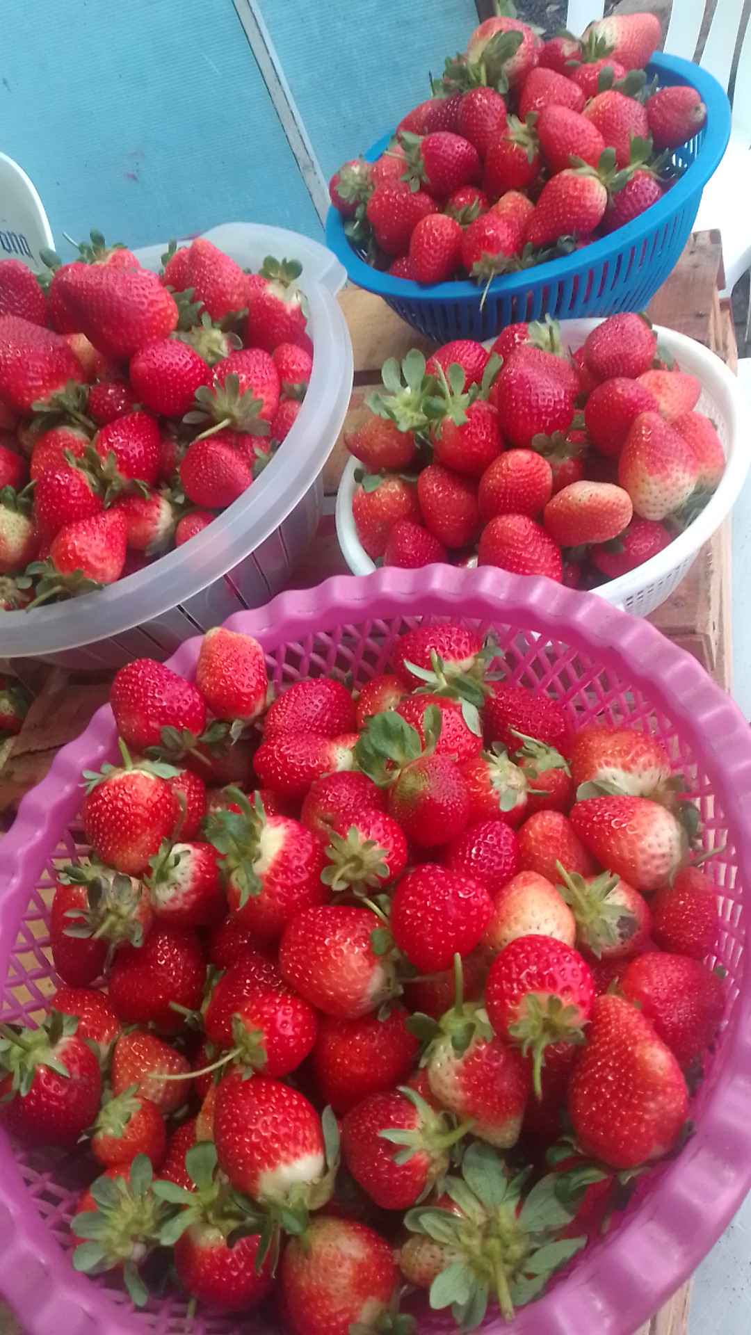 Restaurant "LOS MOLCAJETES" image 8