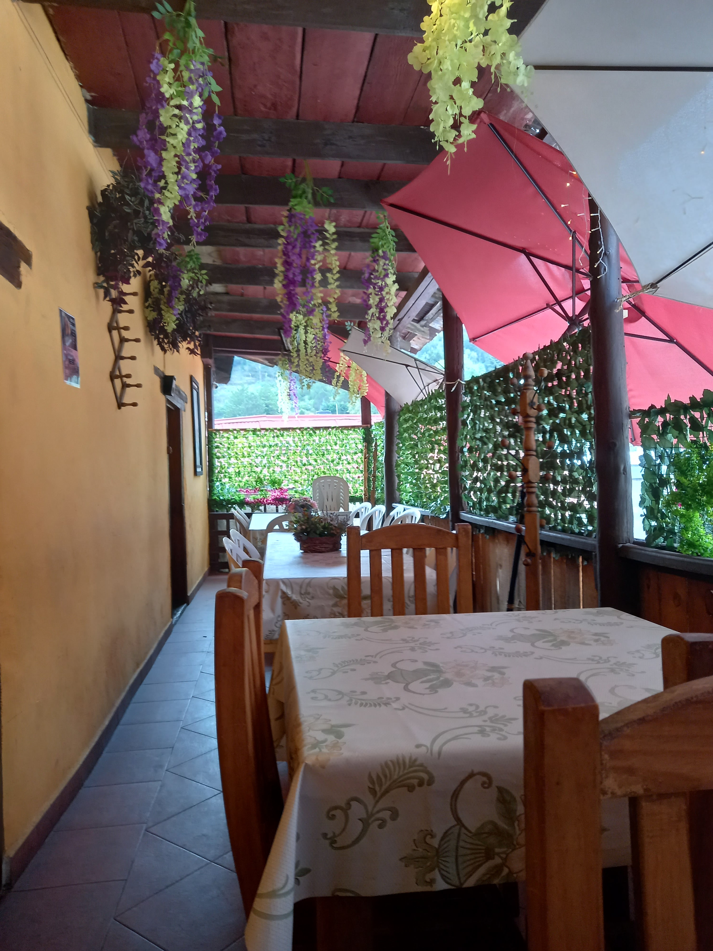 Restaurante Terracota image 3