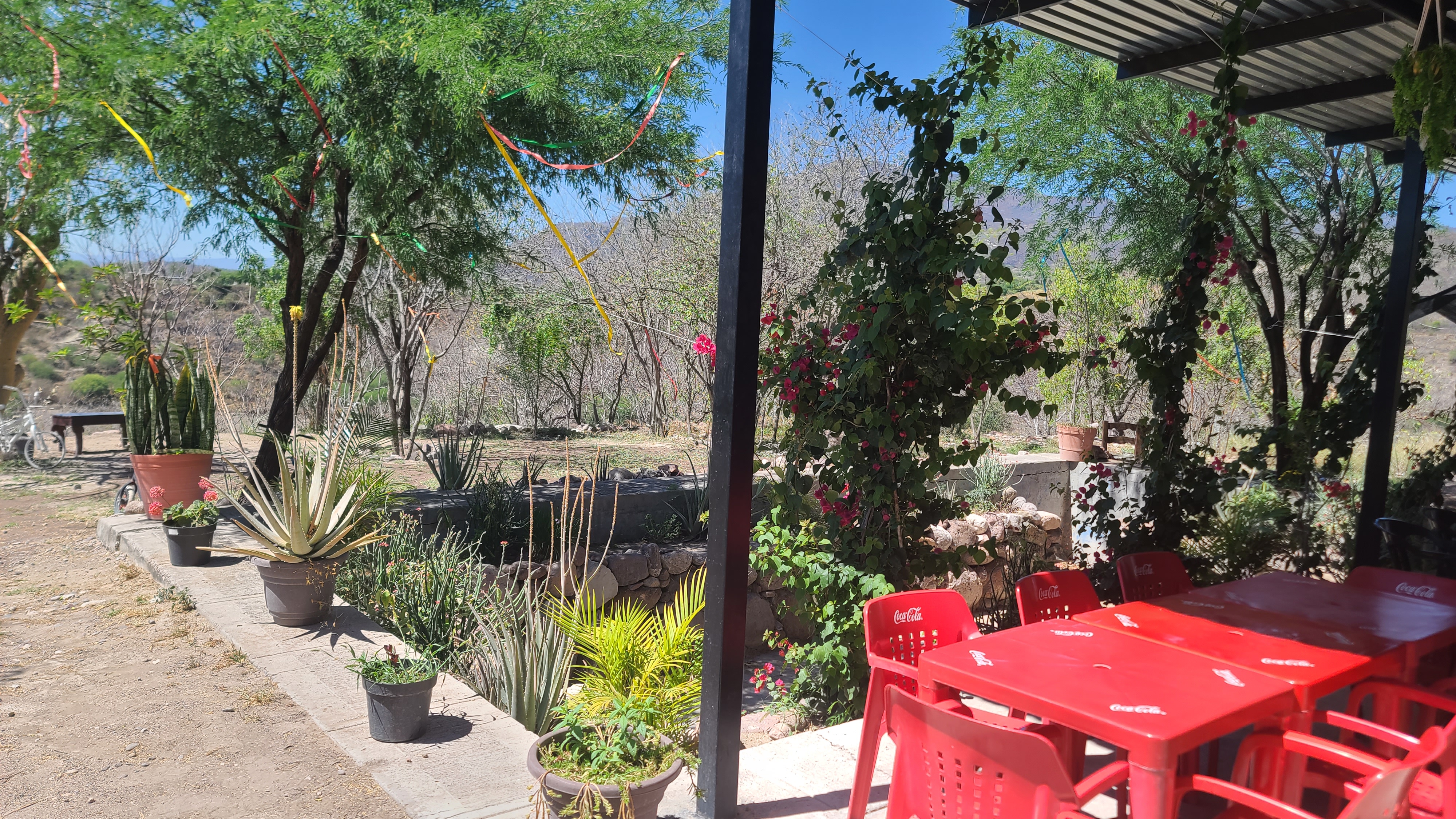 Restaurante coco image 1