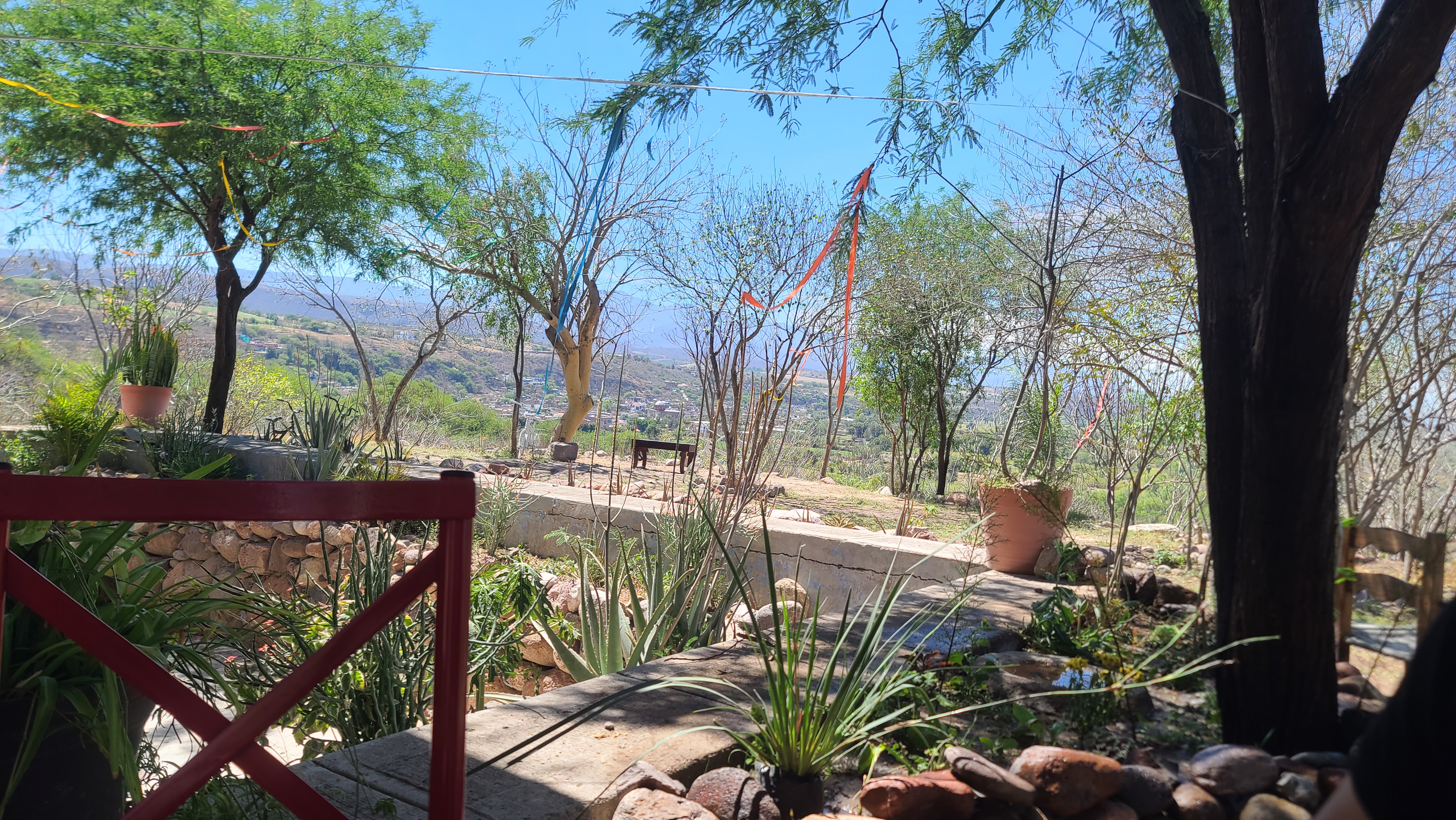 Restaurante coco image 4