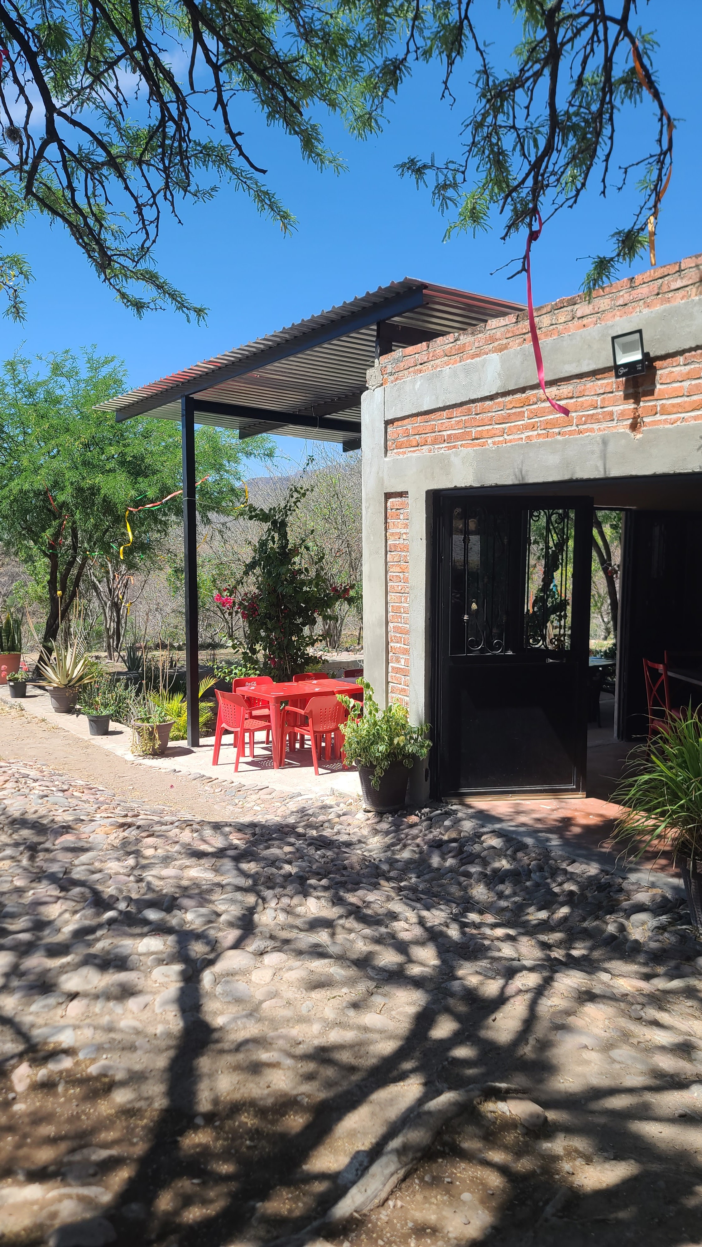 Restaurante coco image 5