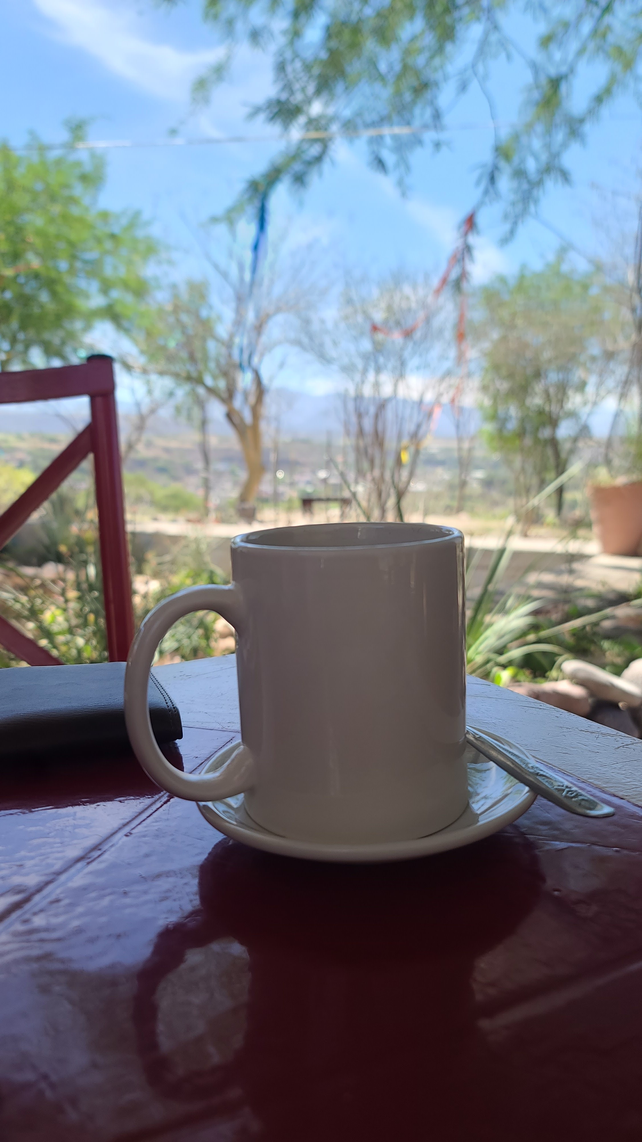 Restaurante coco image 6