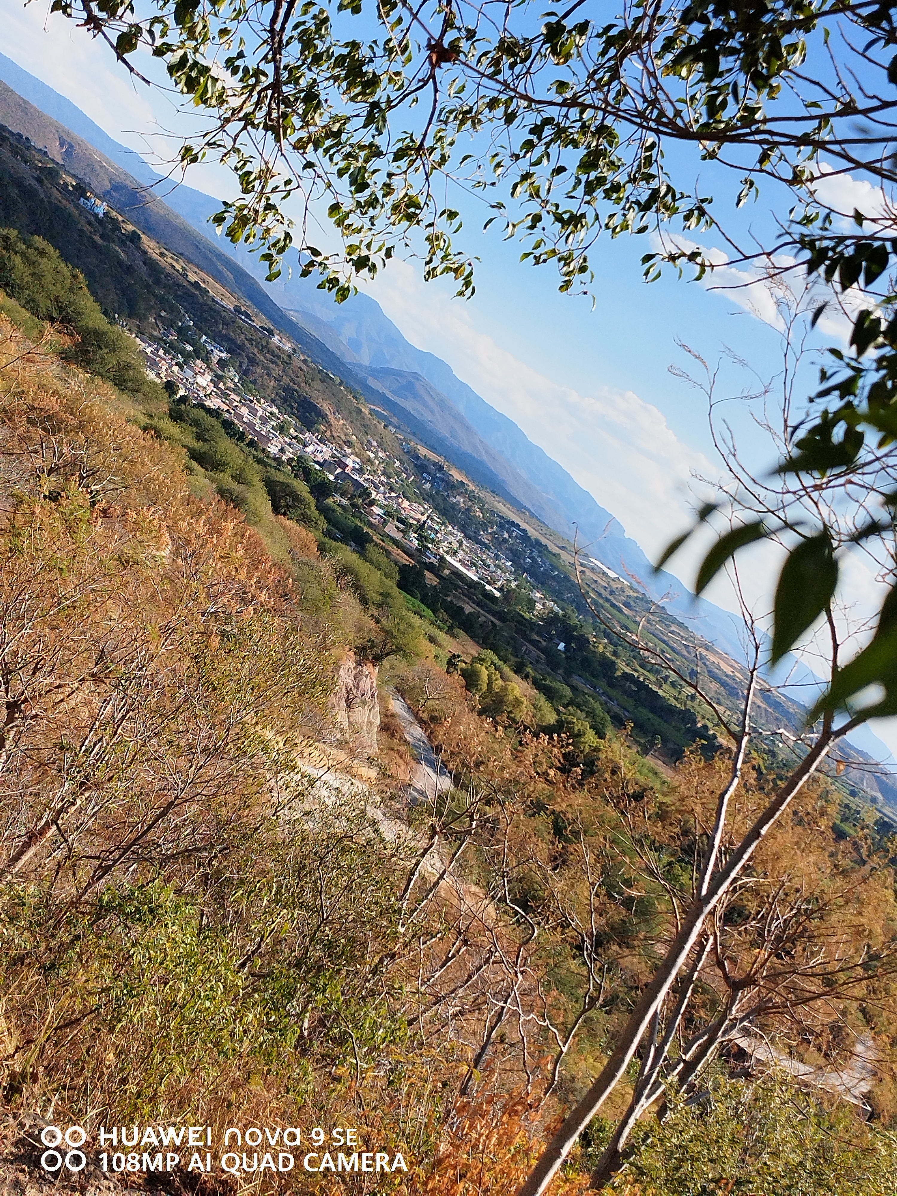 Restaurante coco image 9