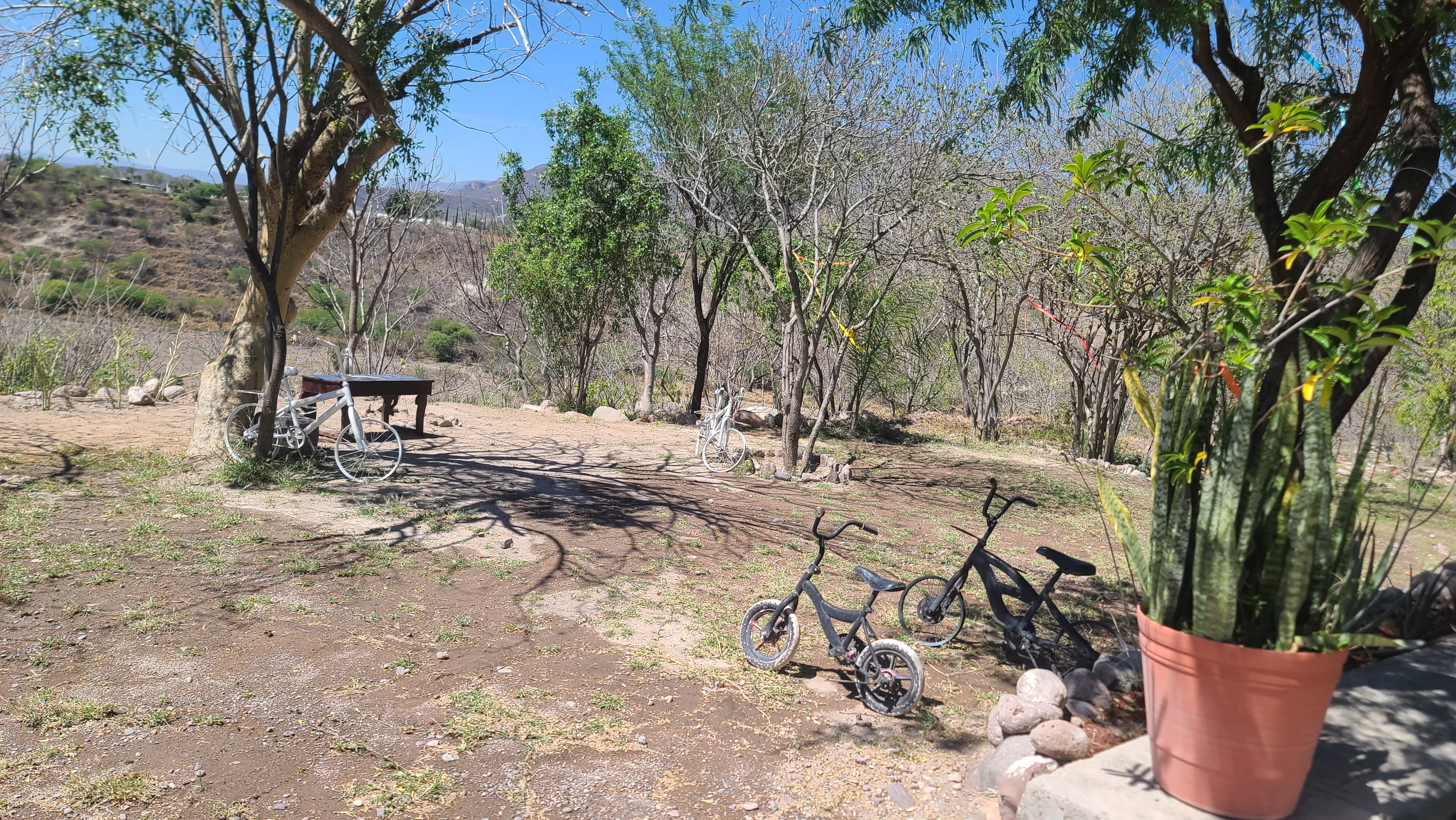 Restaurante coco image 10