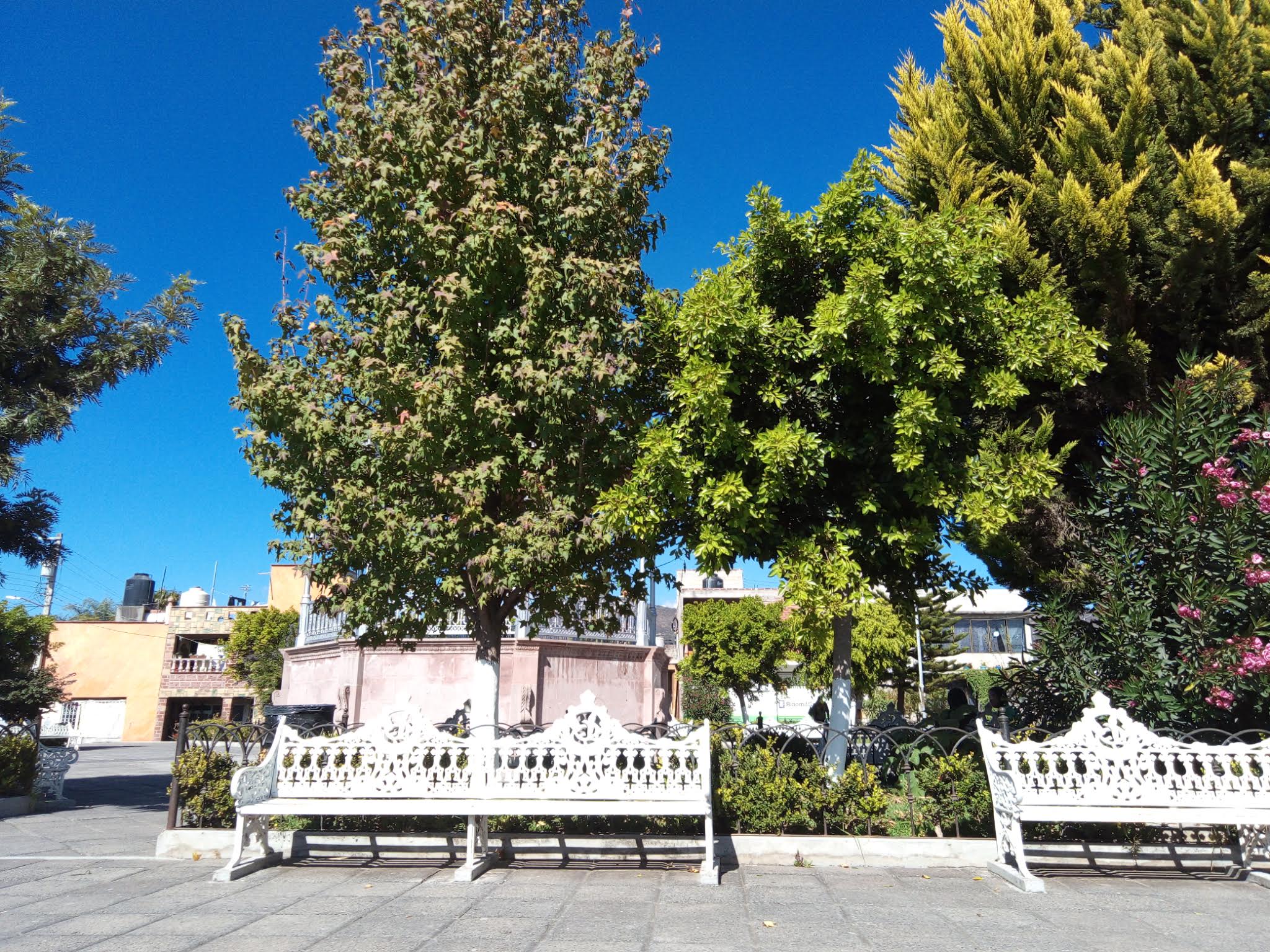 Venetto's Pizza. image 1