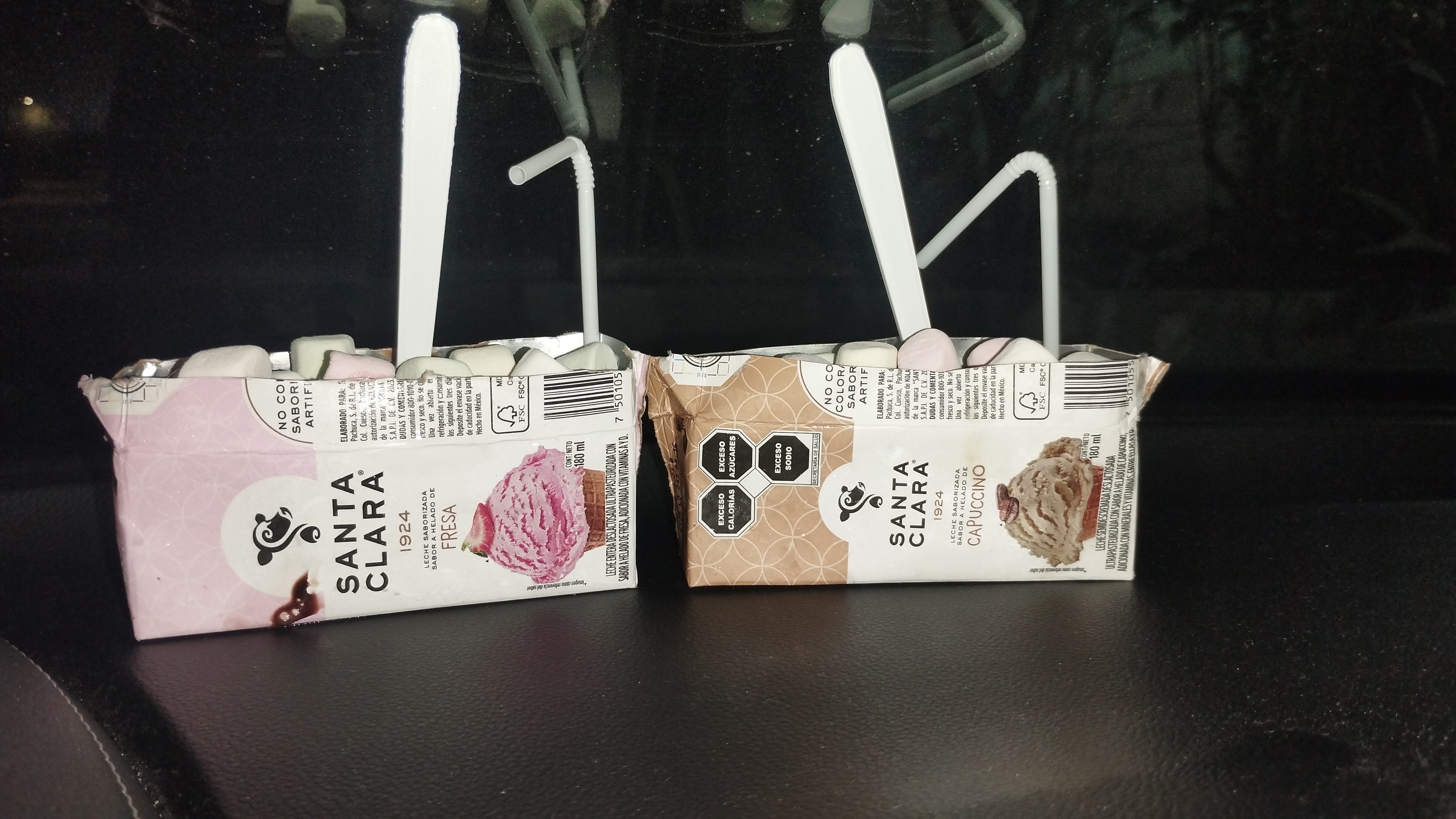 El Rincón de las Macbotanas image 10