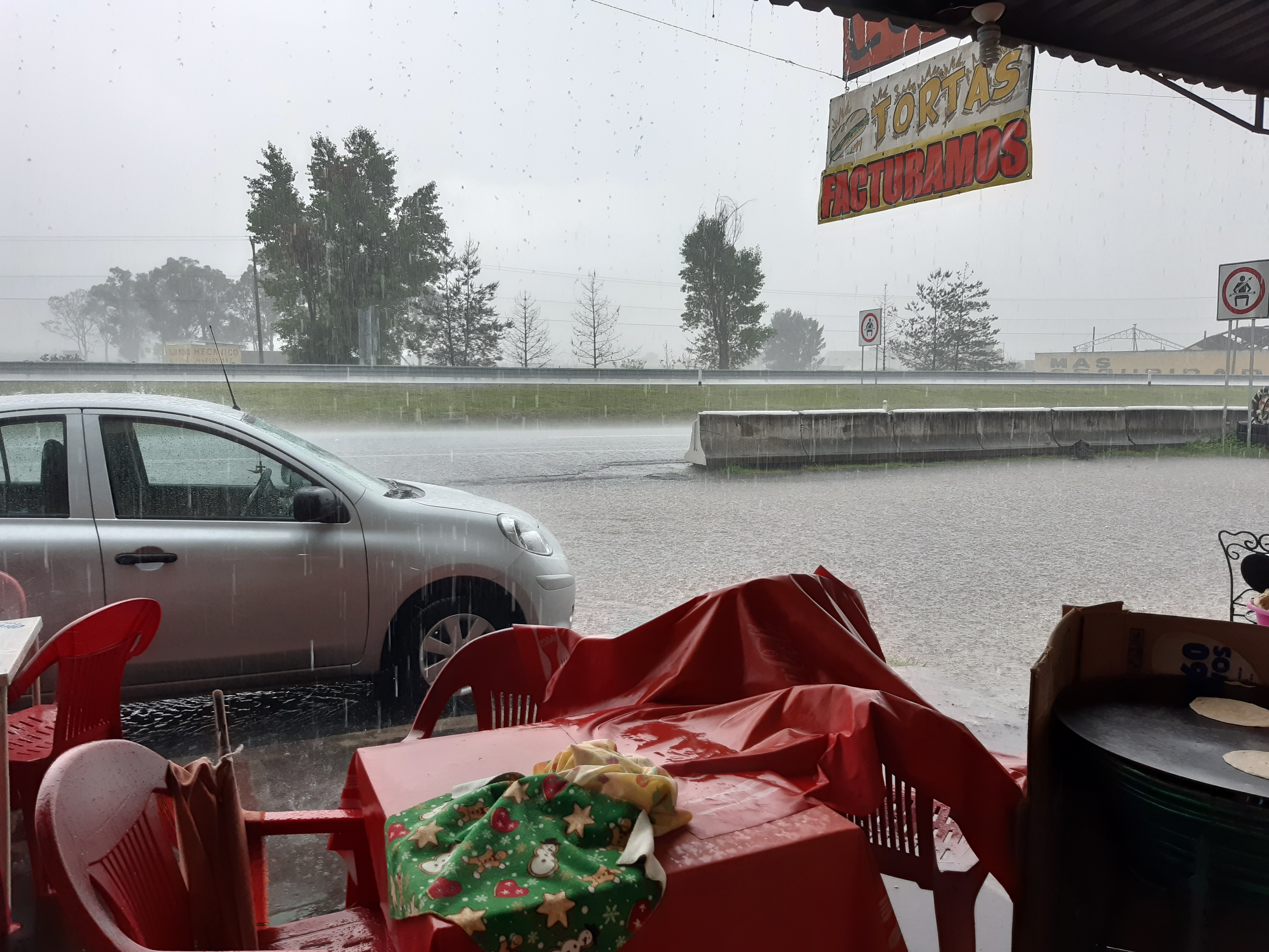 El Buen Gusto image 5