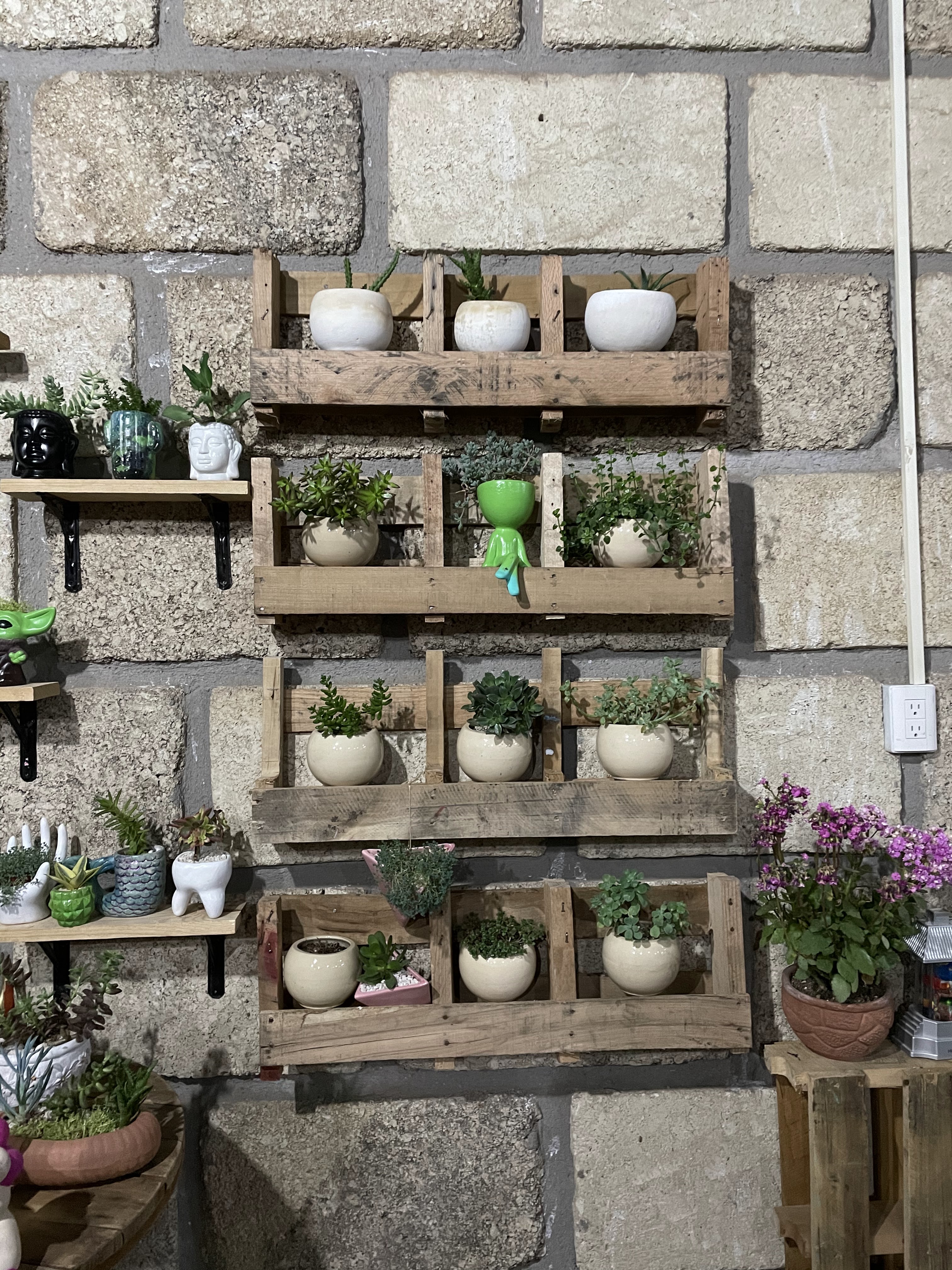 El Brunch Maravatio image 2