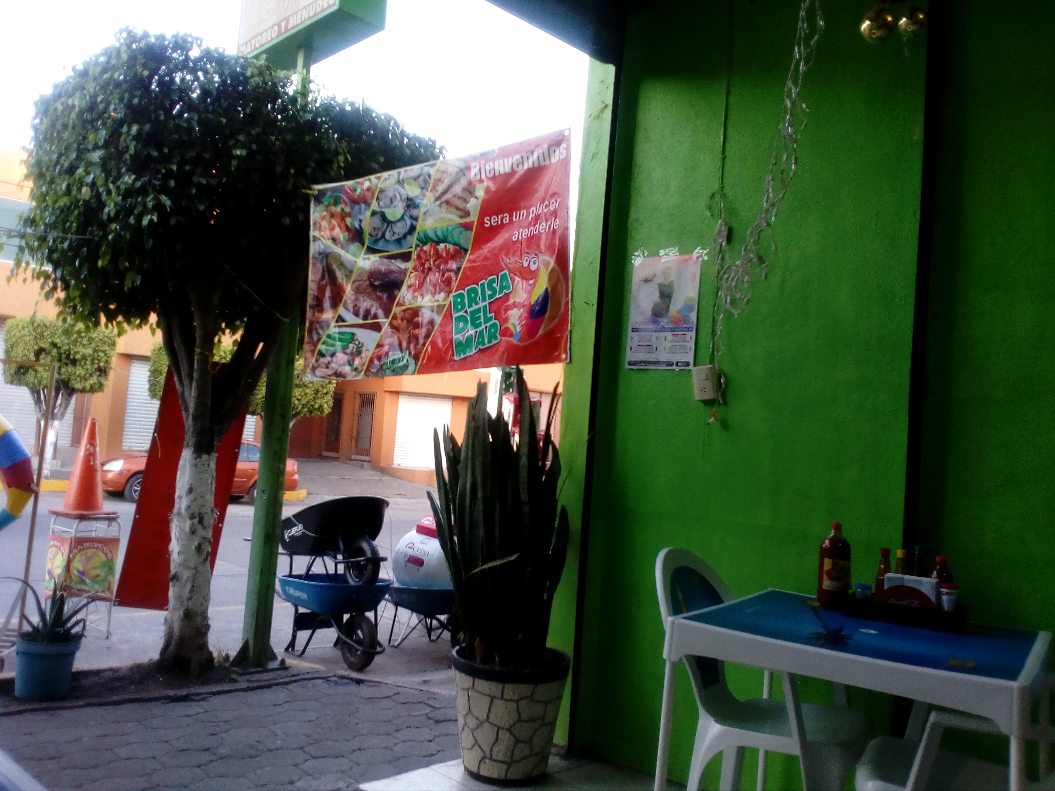 Mariscos BRISA DEL MAR image 3