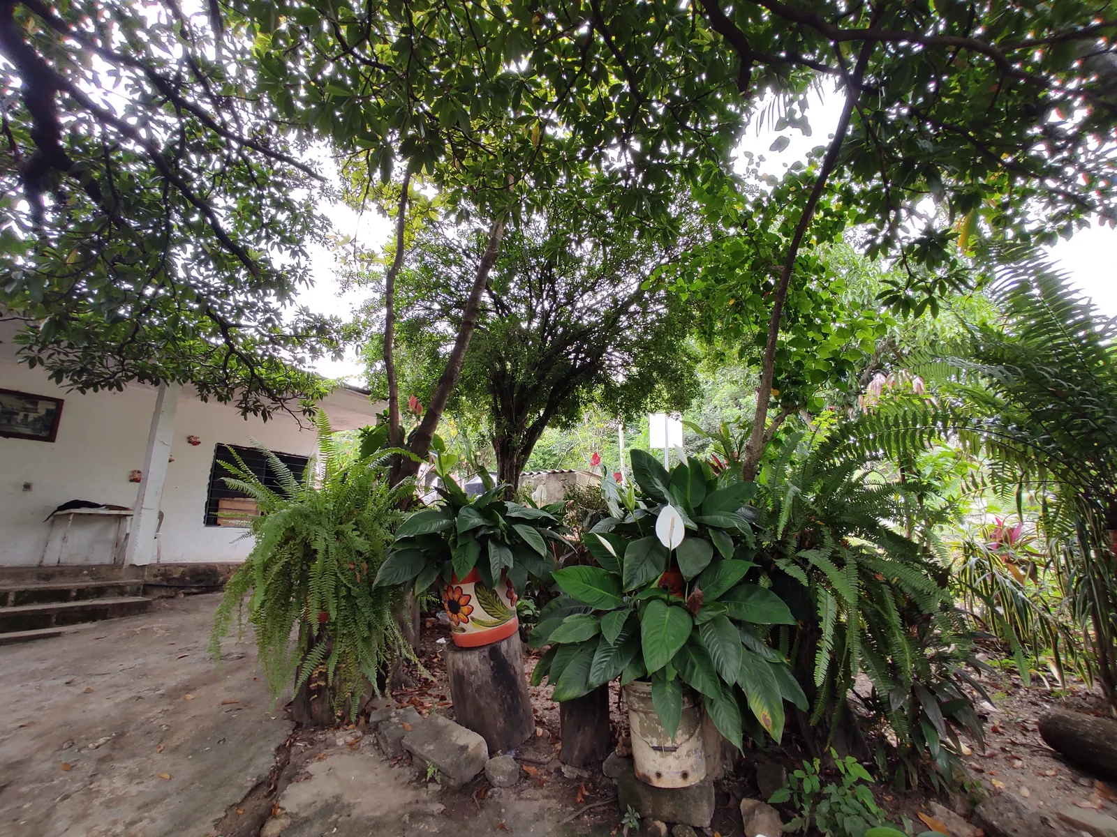 RESTAURANT DOÑA TERE image 4