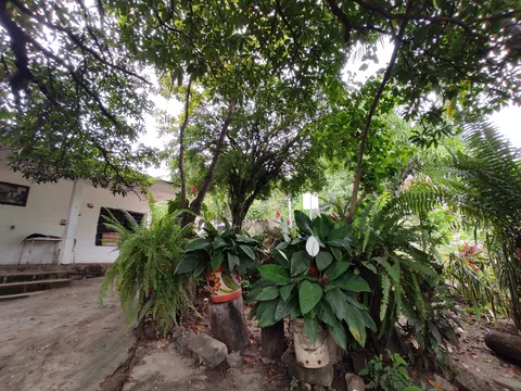 RESTAURANT DOÑA TERE image 4