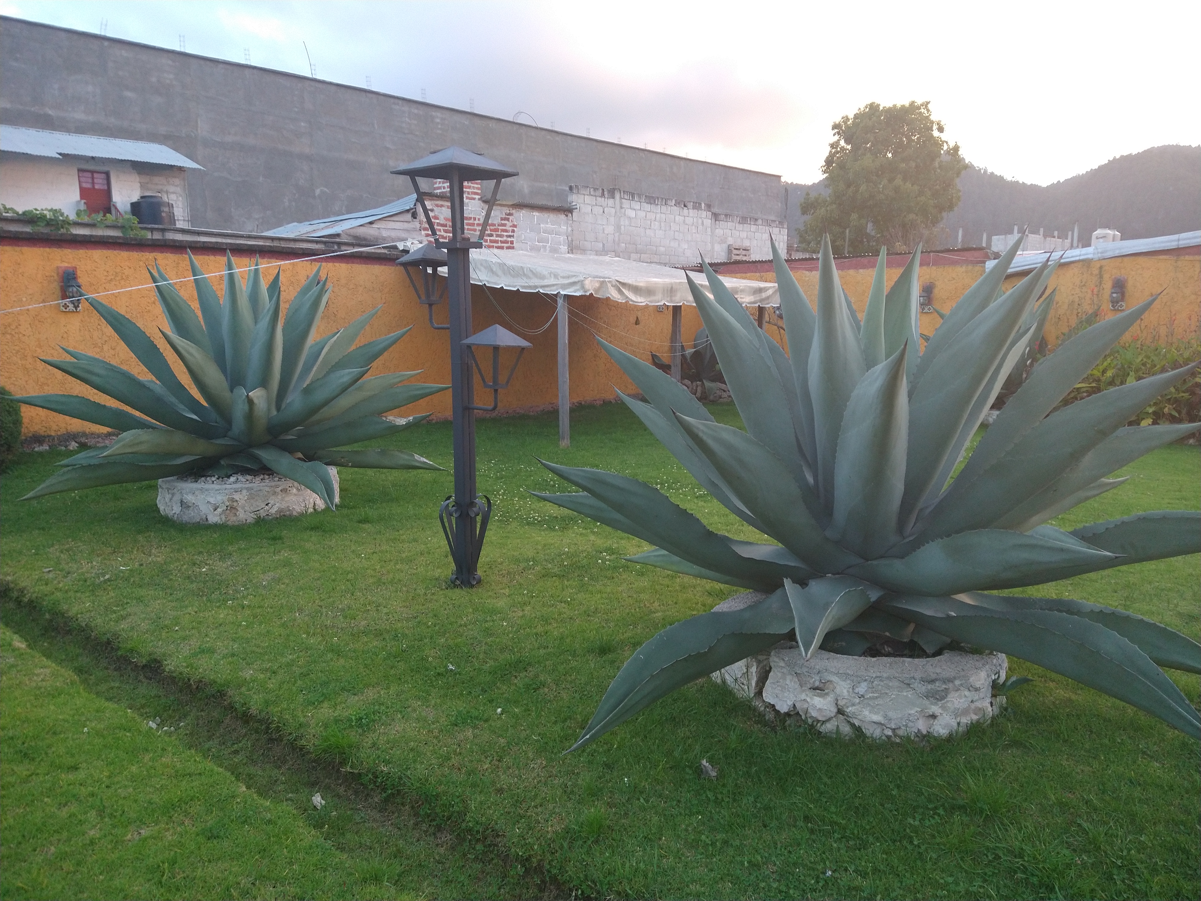 Restaurante El Titanic image 3