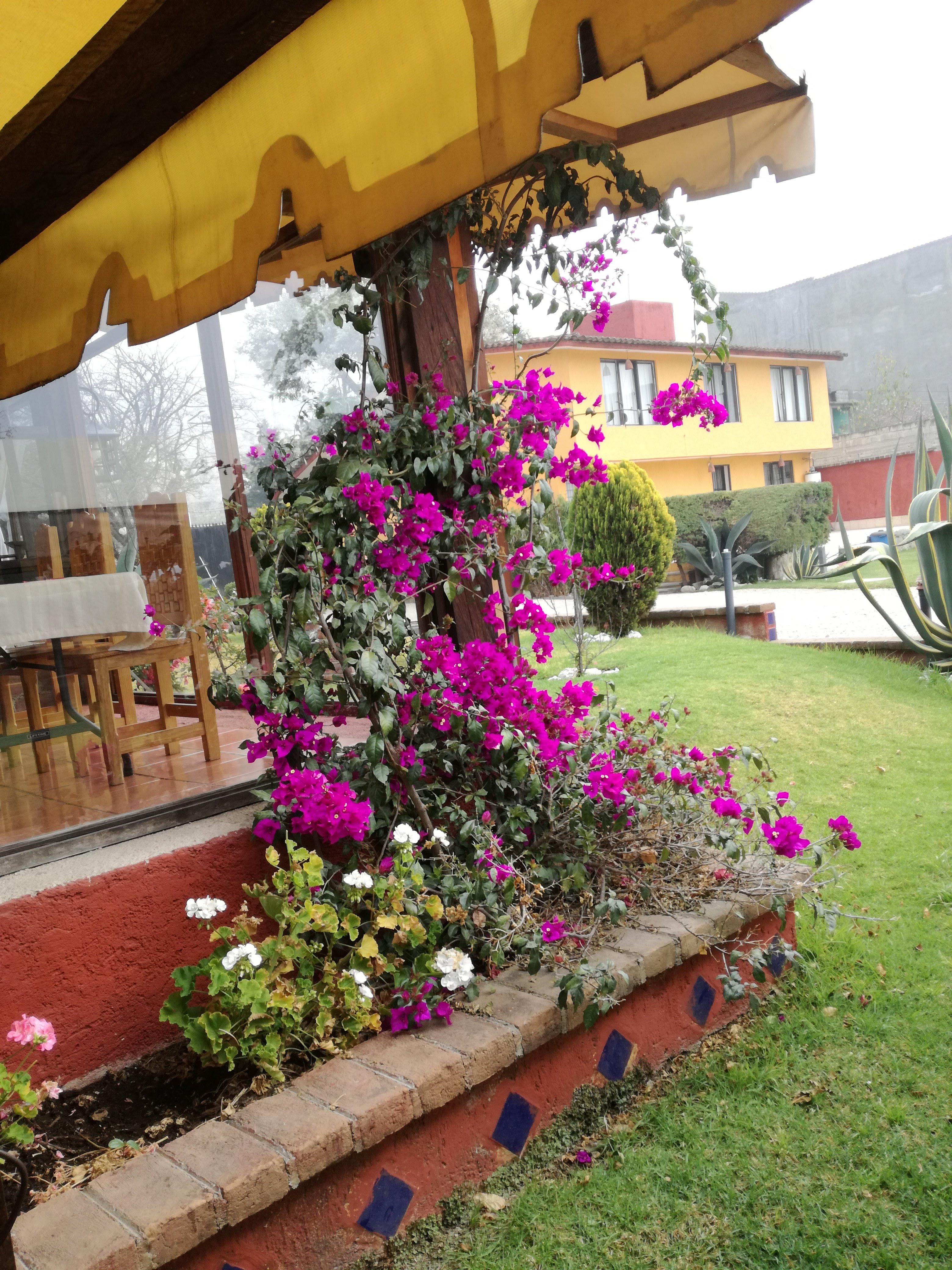 Restaurante El Titanic image 6