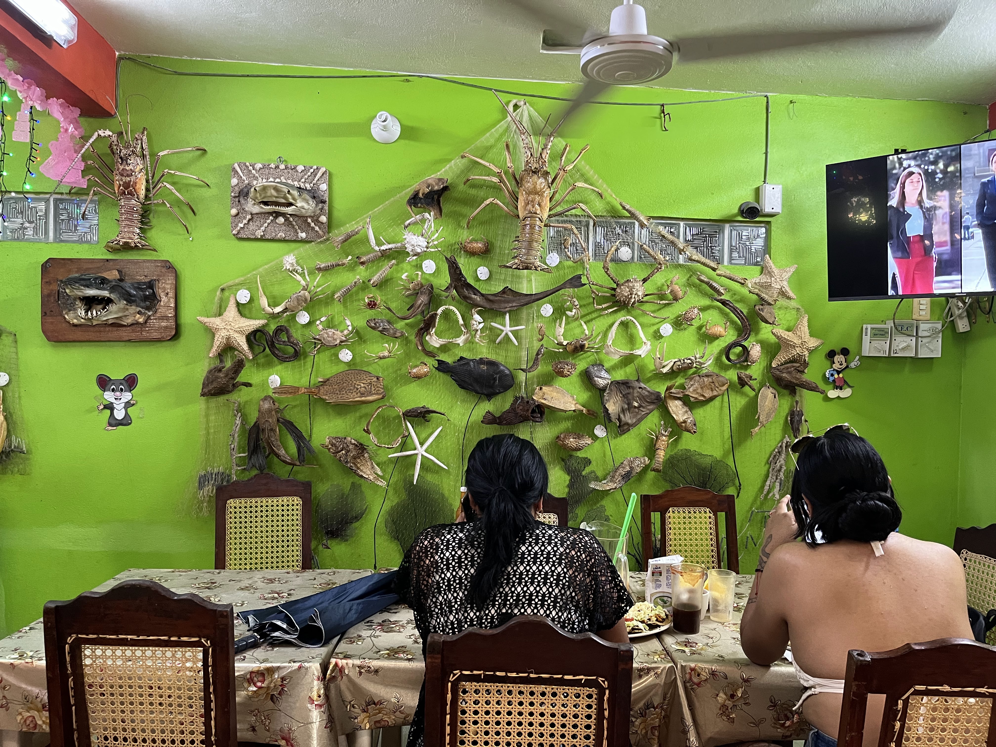 Restaurant El Camarón Desvelado image 5