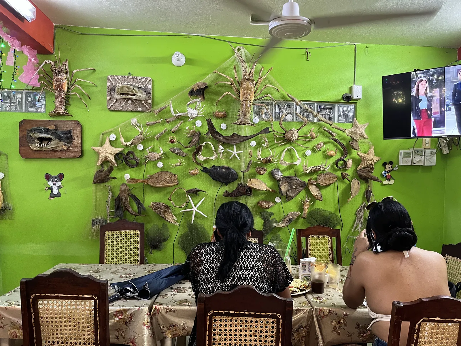 Restaurant El Camarón Desvelado image 5
