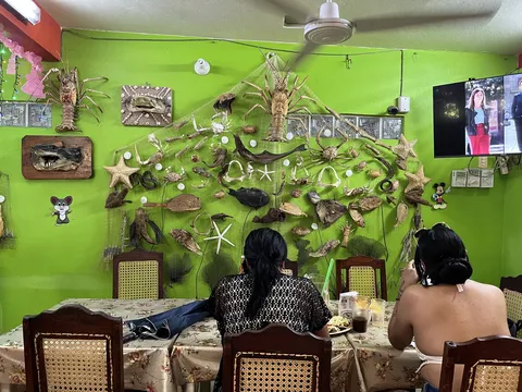 Restaurant El Camarón Desvelado image 5