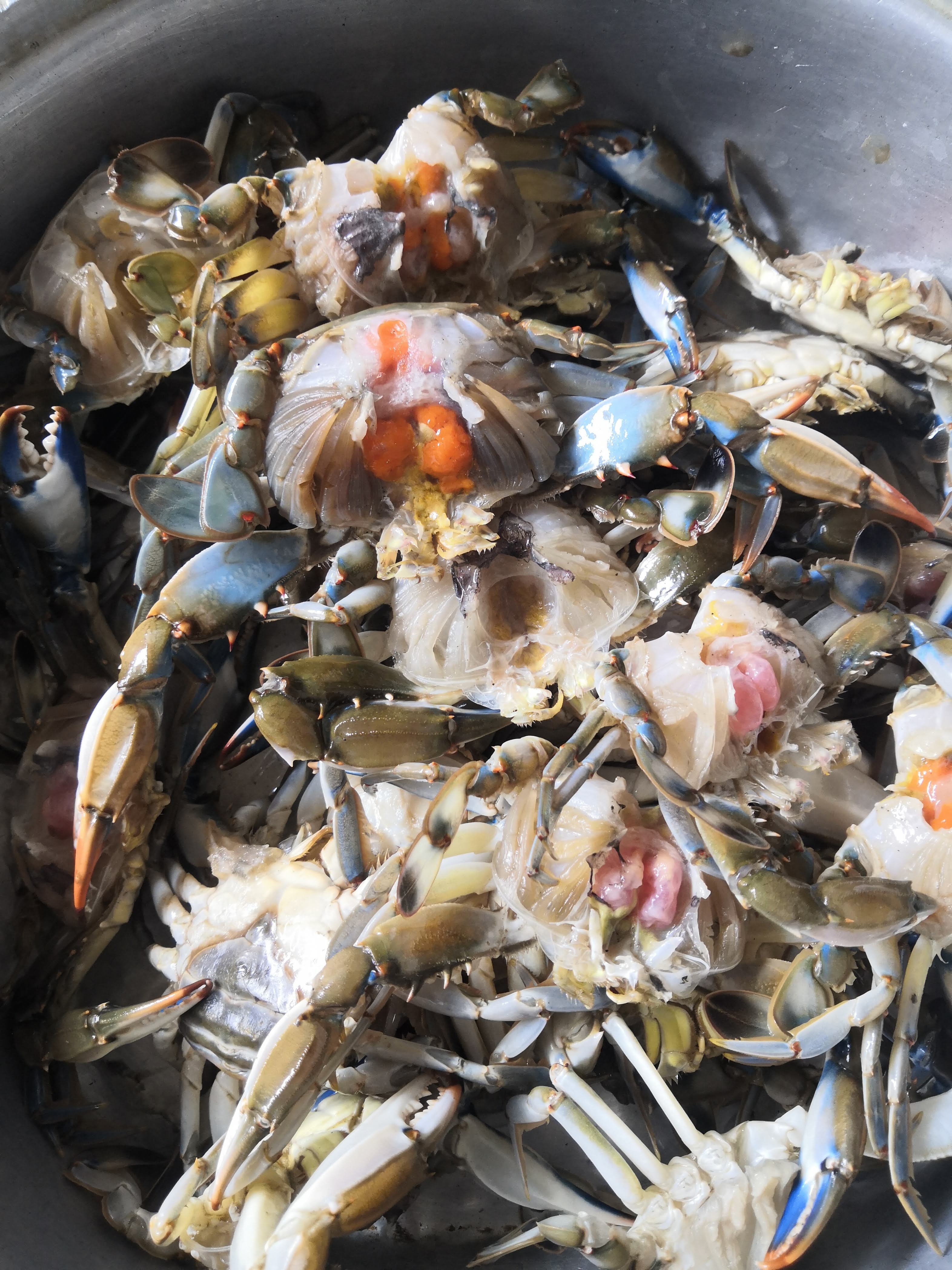 Restaurant Panchita 2 image 10