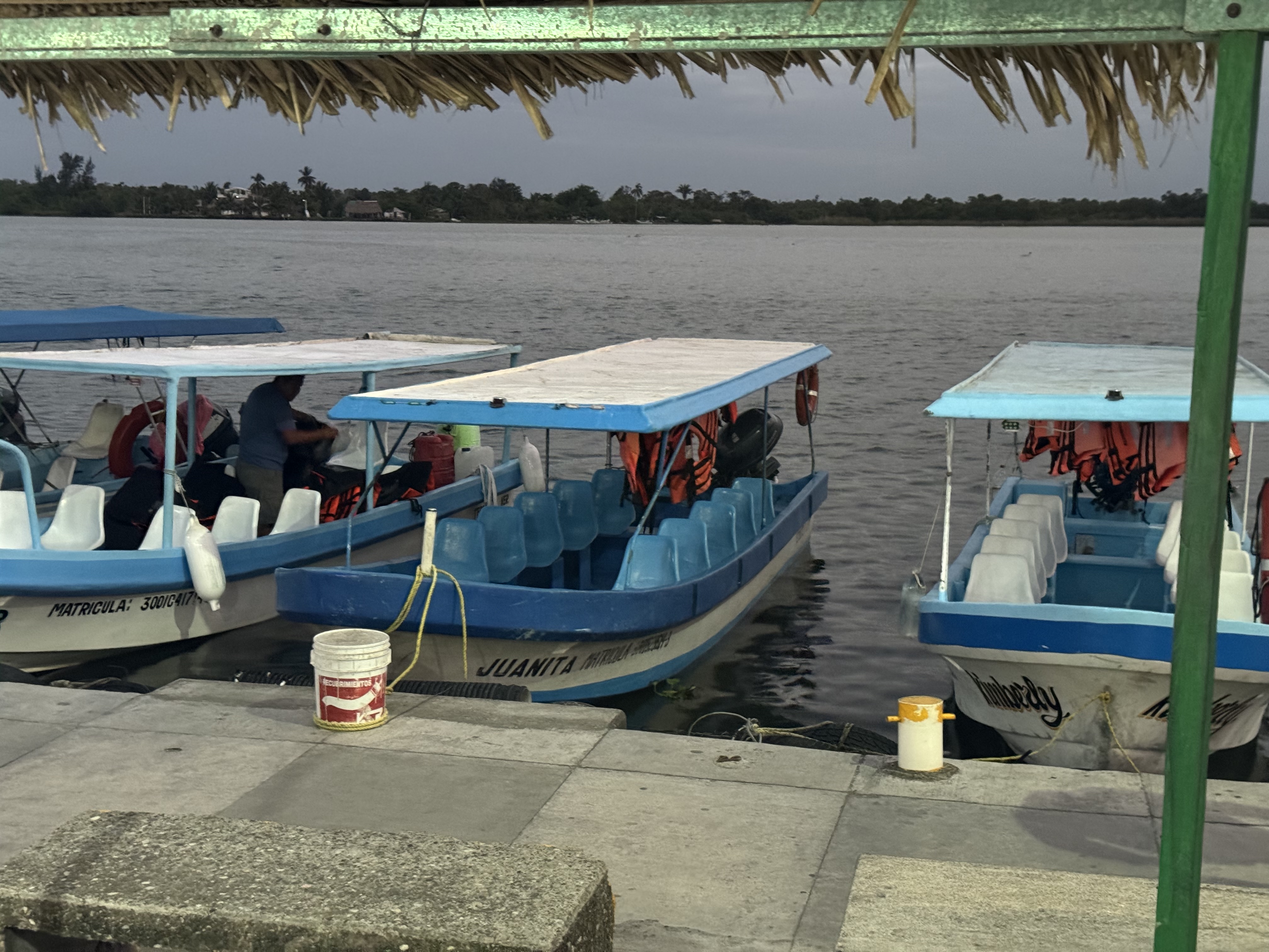 TecoFish Restaurant image 4