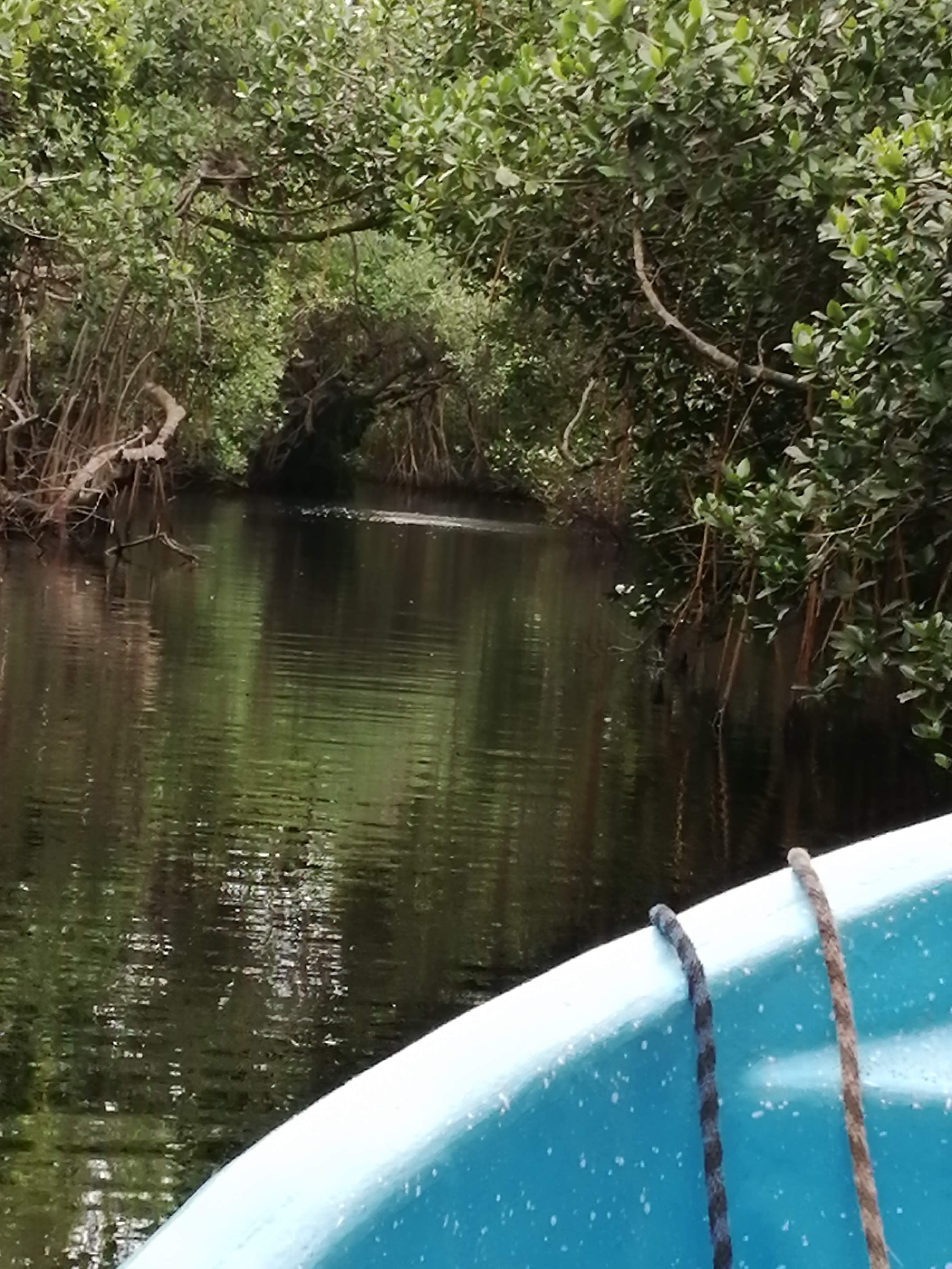 TecoFish Restaurant image 9