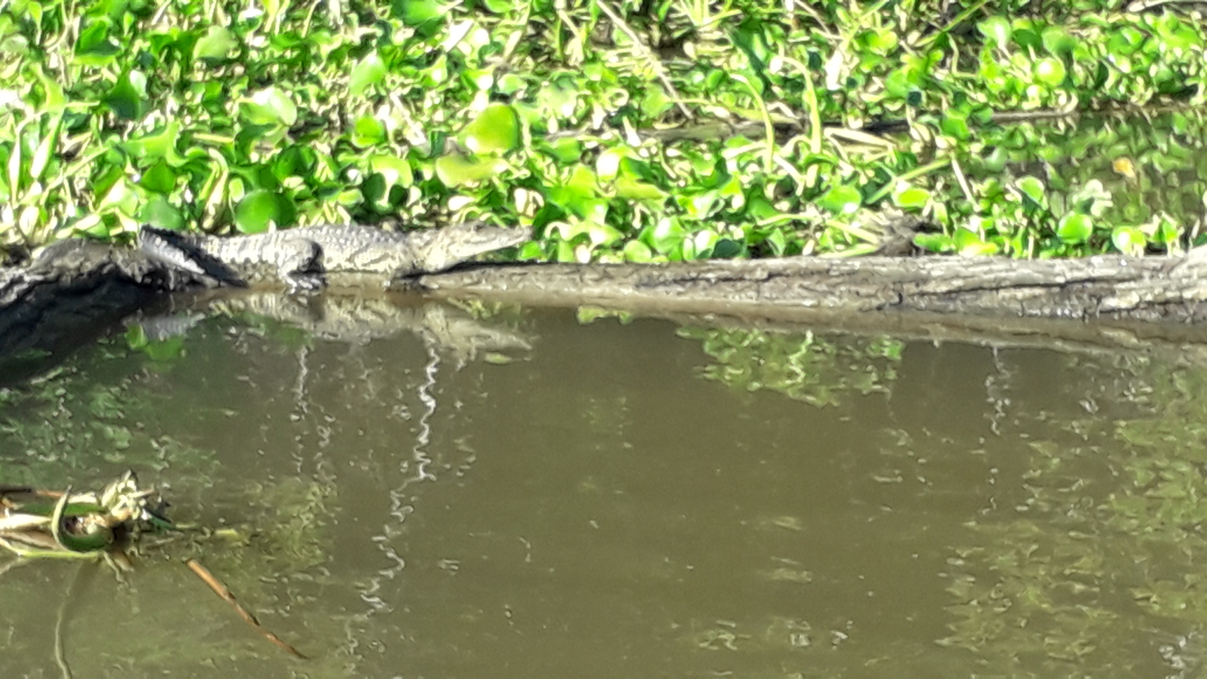 Casa Del Osito image 3