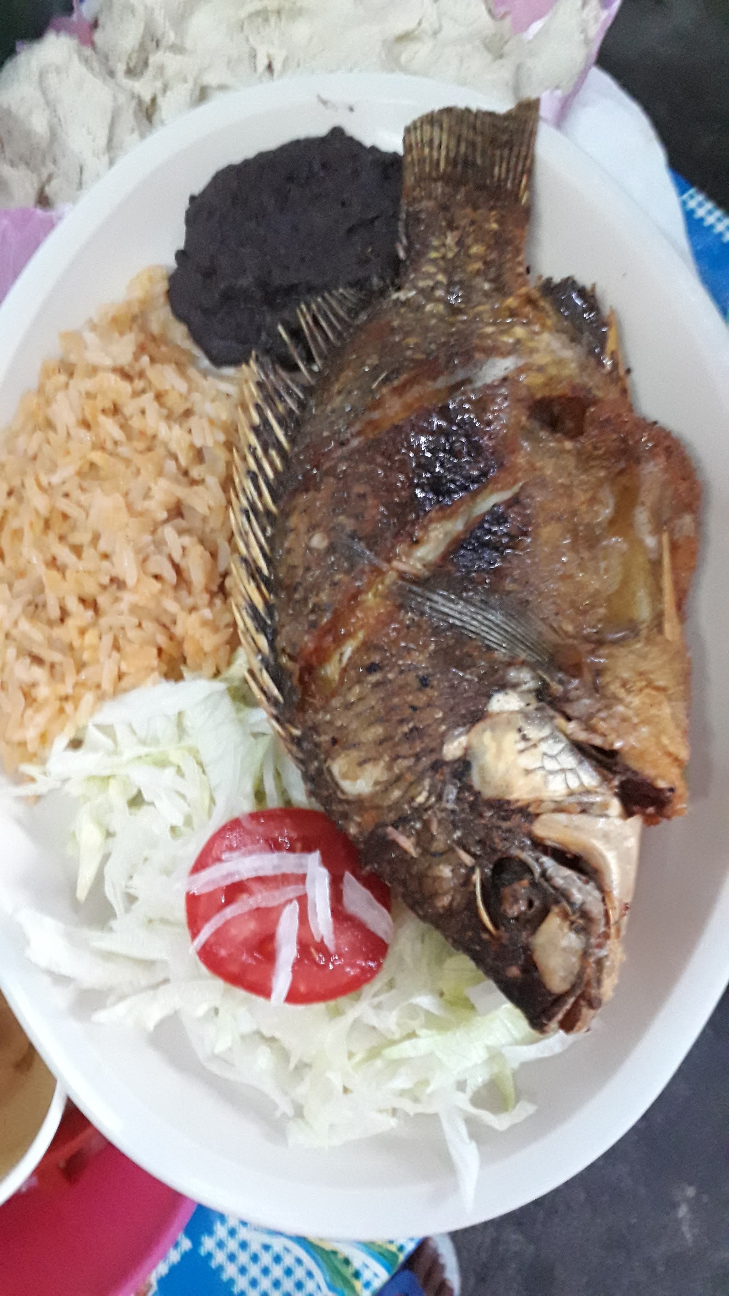 Casa Del Osito image 6