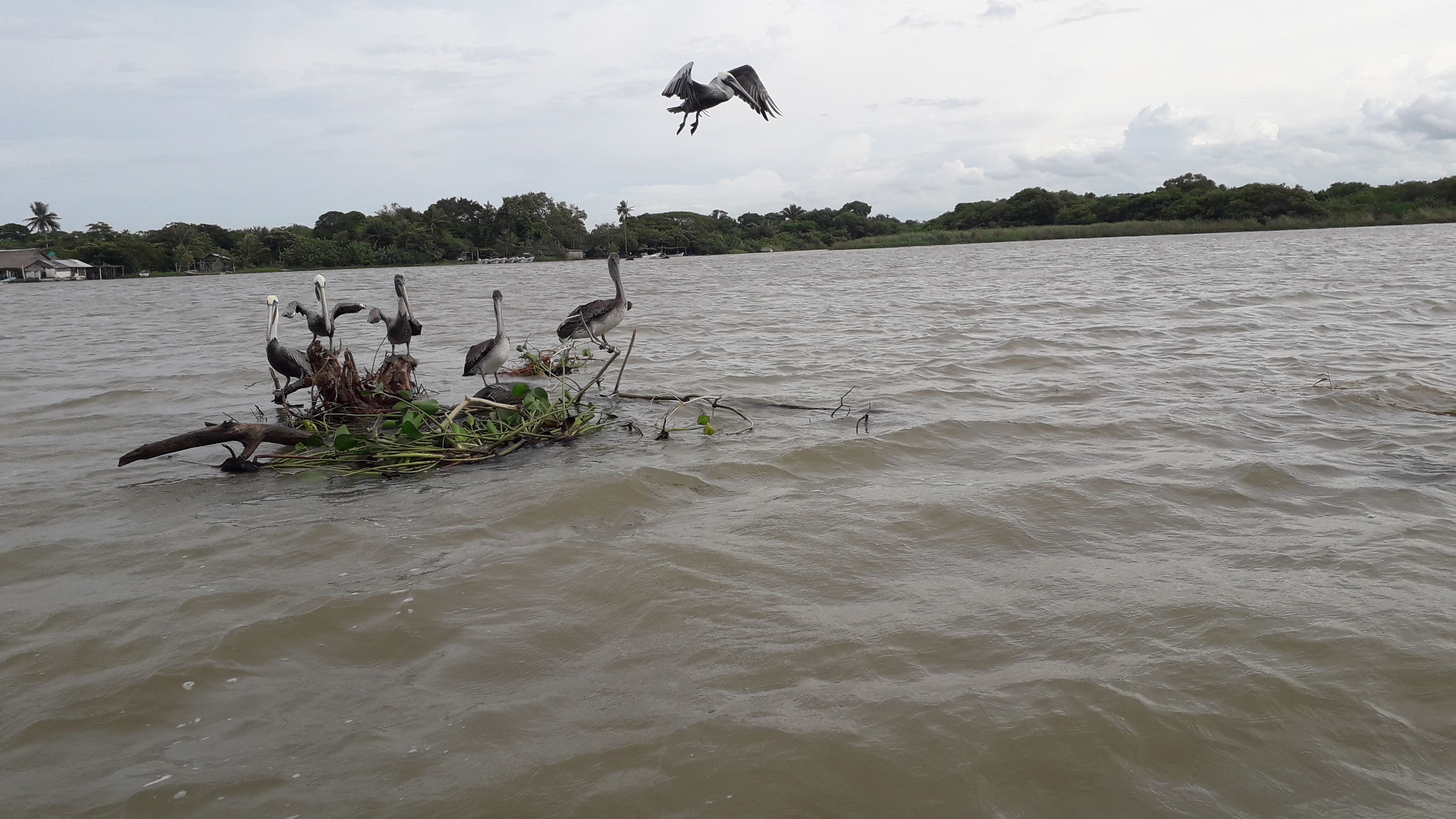 Casa Del Osito image 7