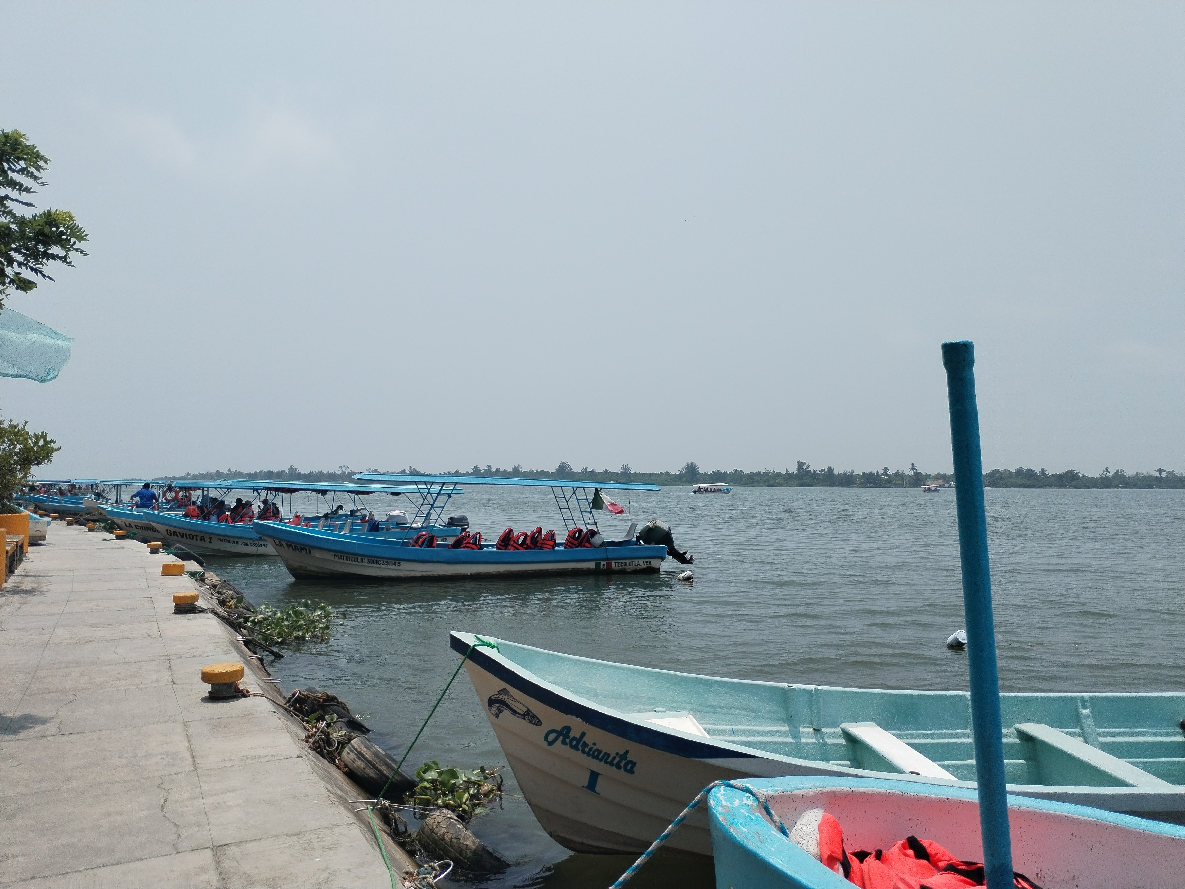 Embarcadero Manglar Tecolutla image 4