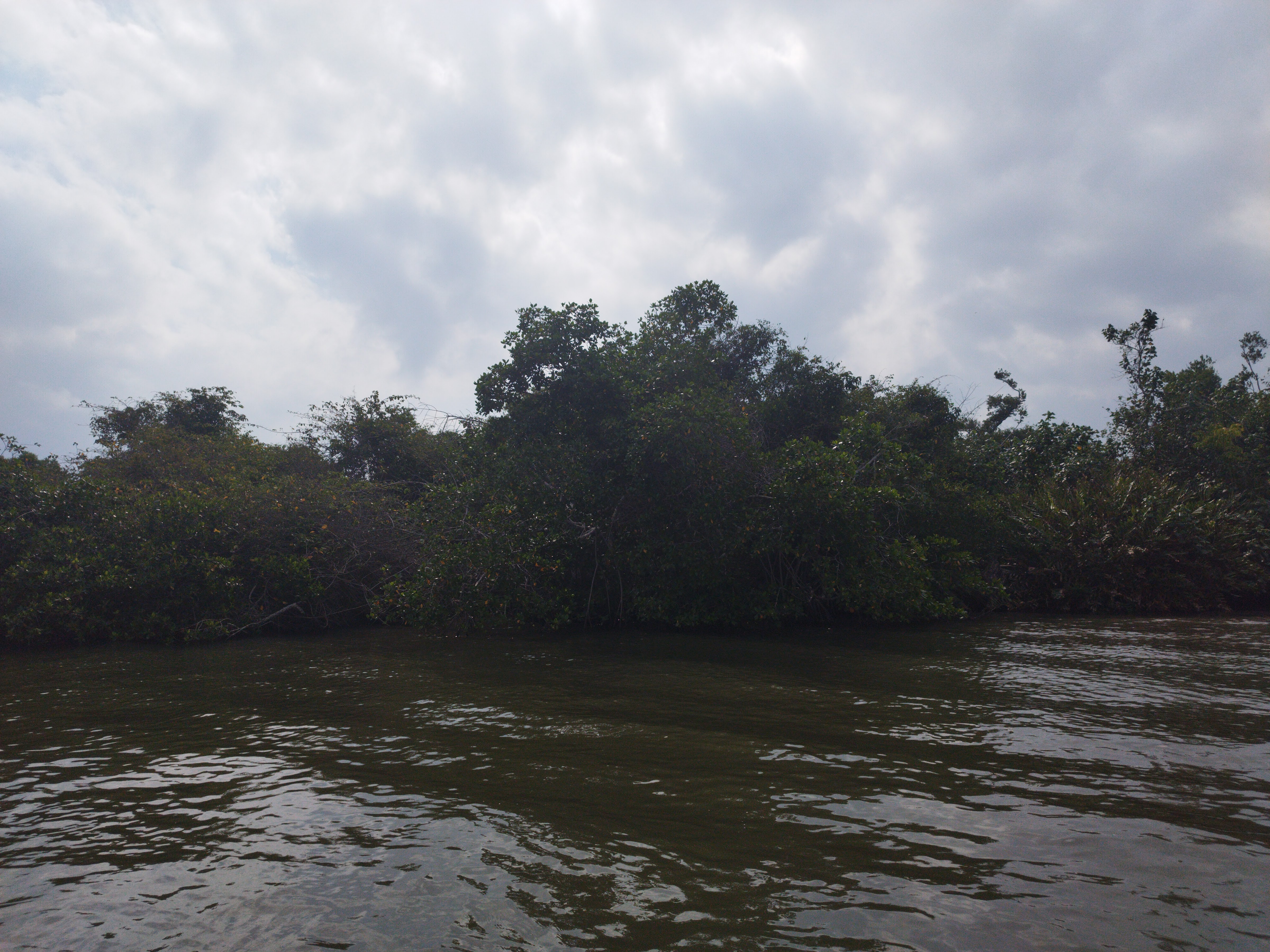 Embarcadero Manglar Tecolutla image 6