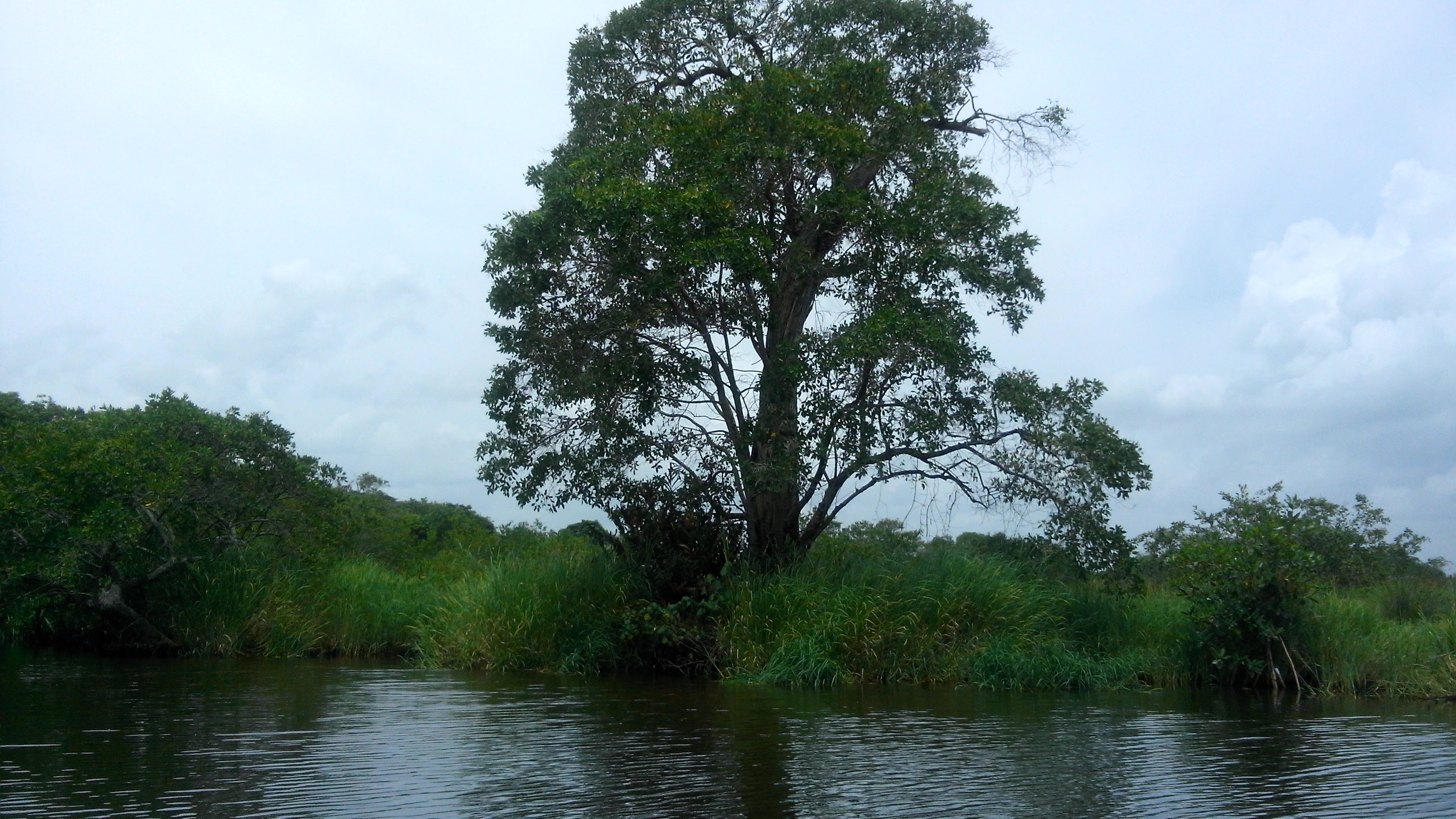 Restaurant El General image 5