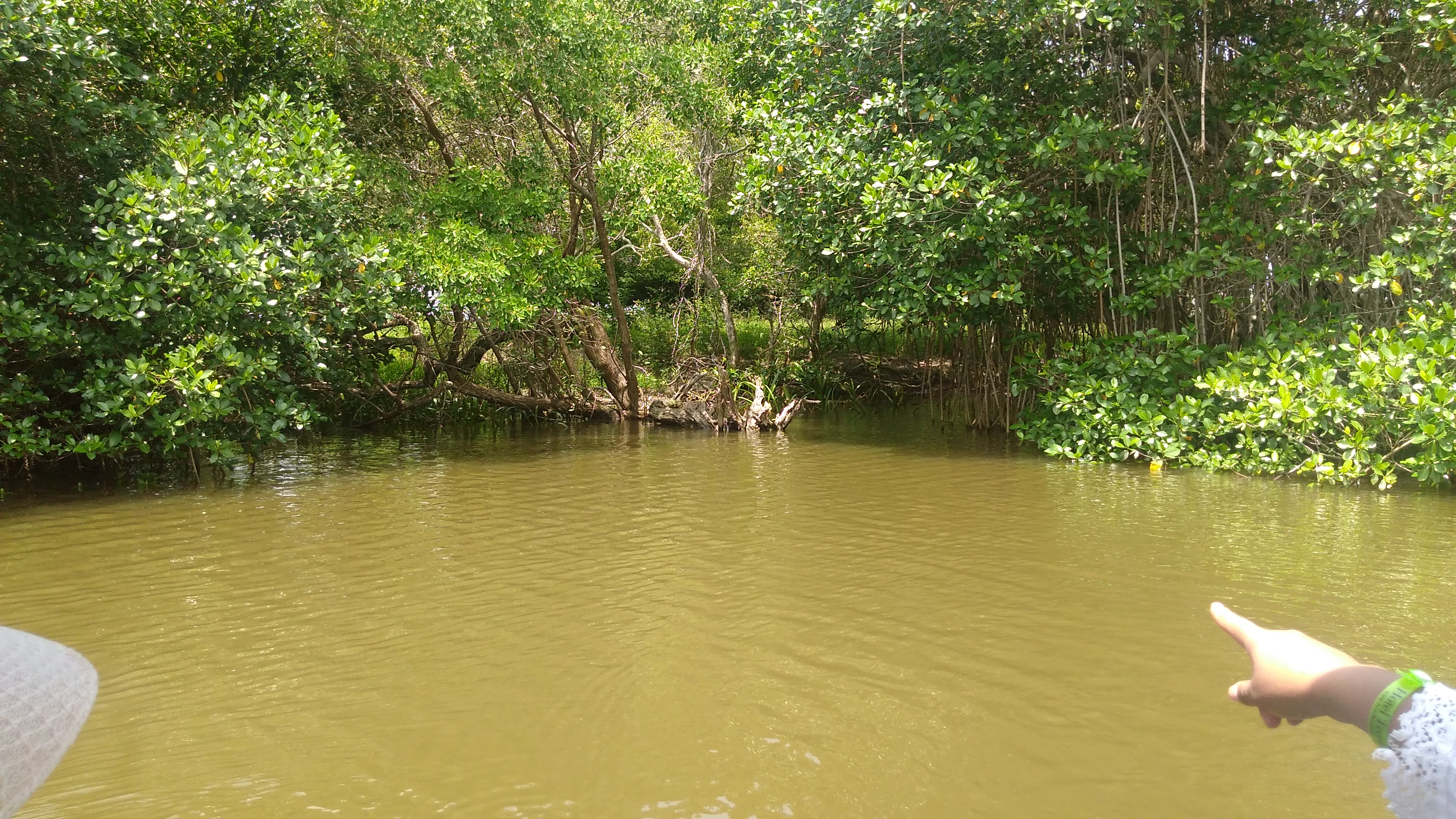 Restaurant El General image 7