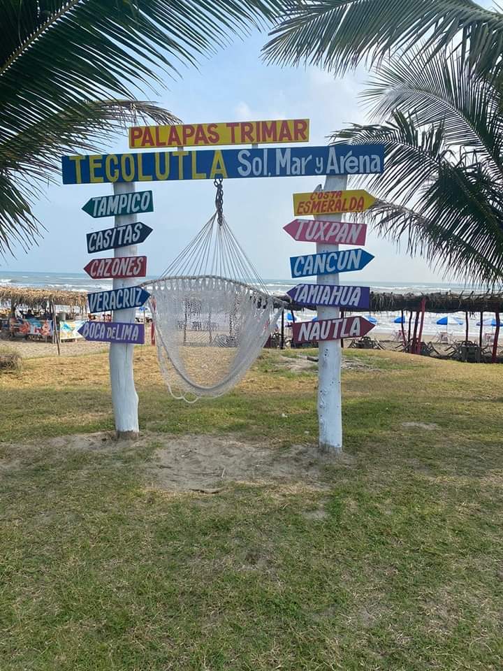 Palapas TRIMAR image 3