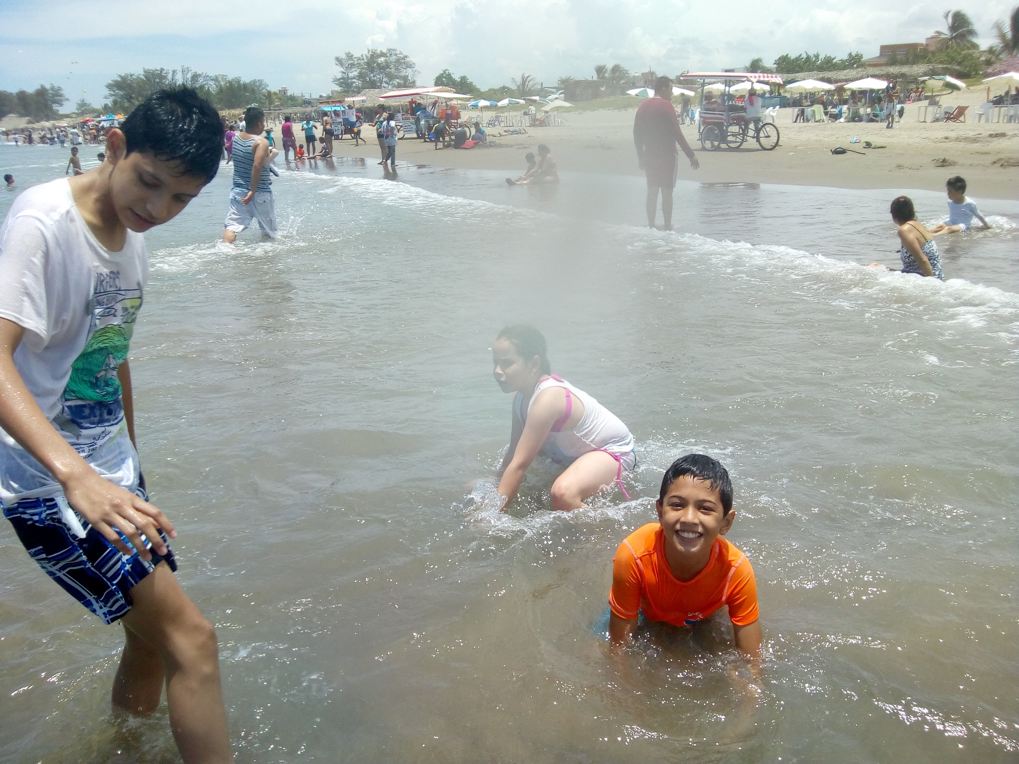 Palapas TRIMAR image 5