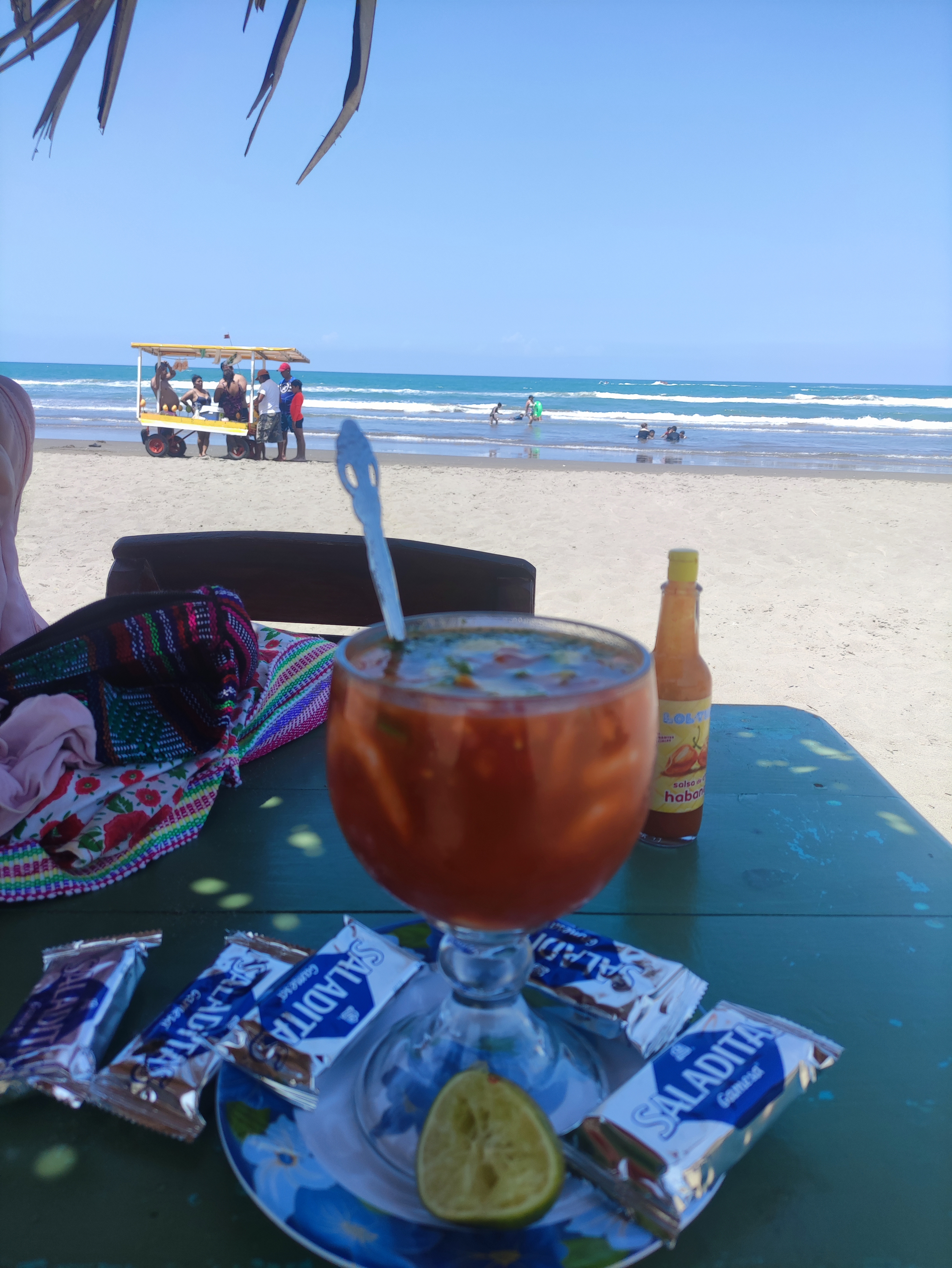 Palapa "Norma" image 1