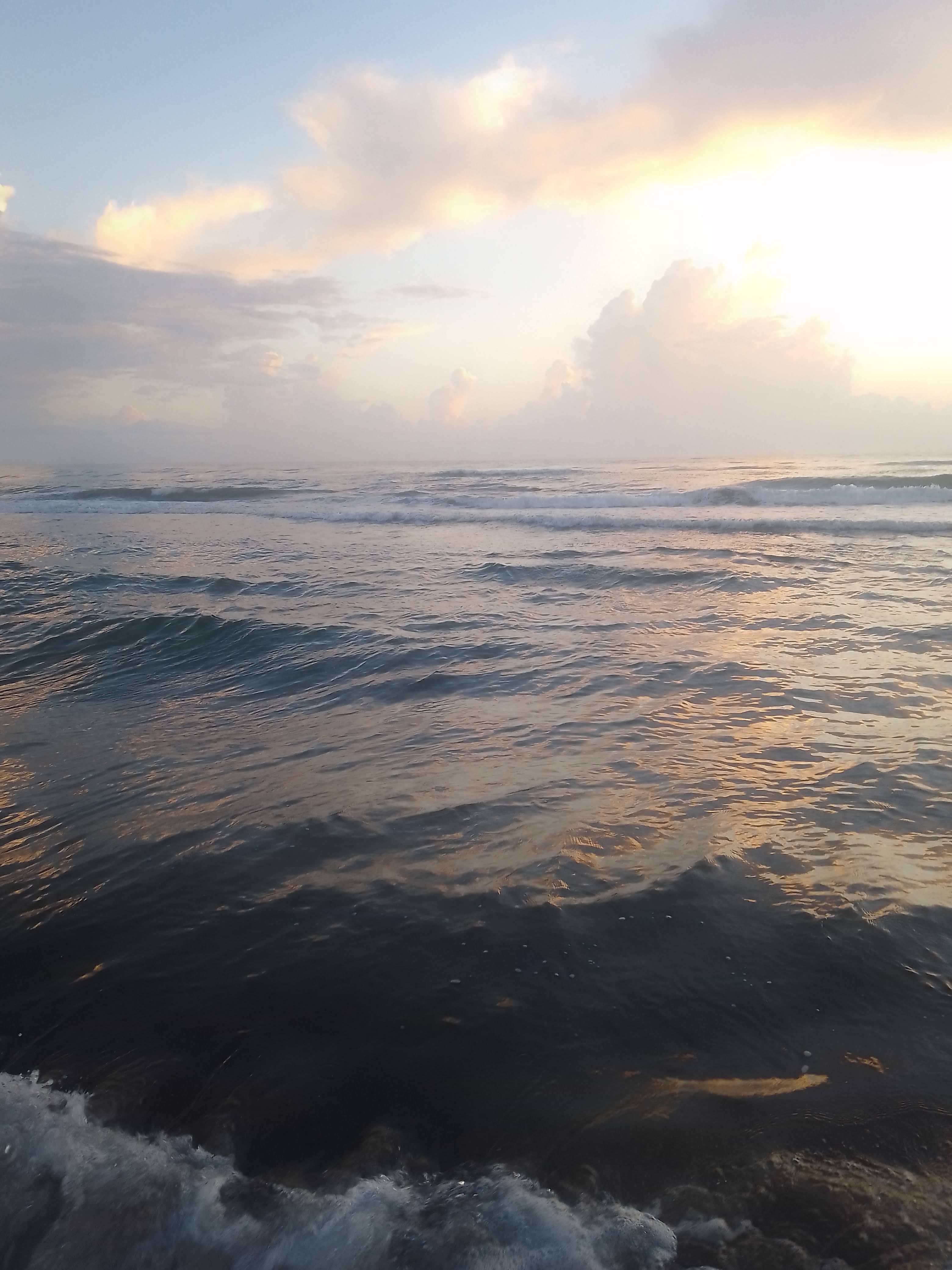 Palapa "Norma" image 3