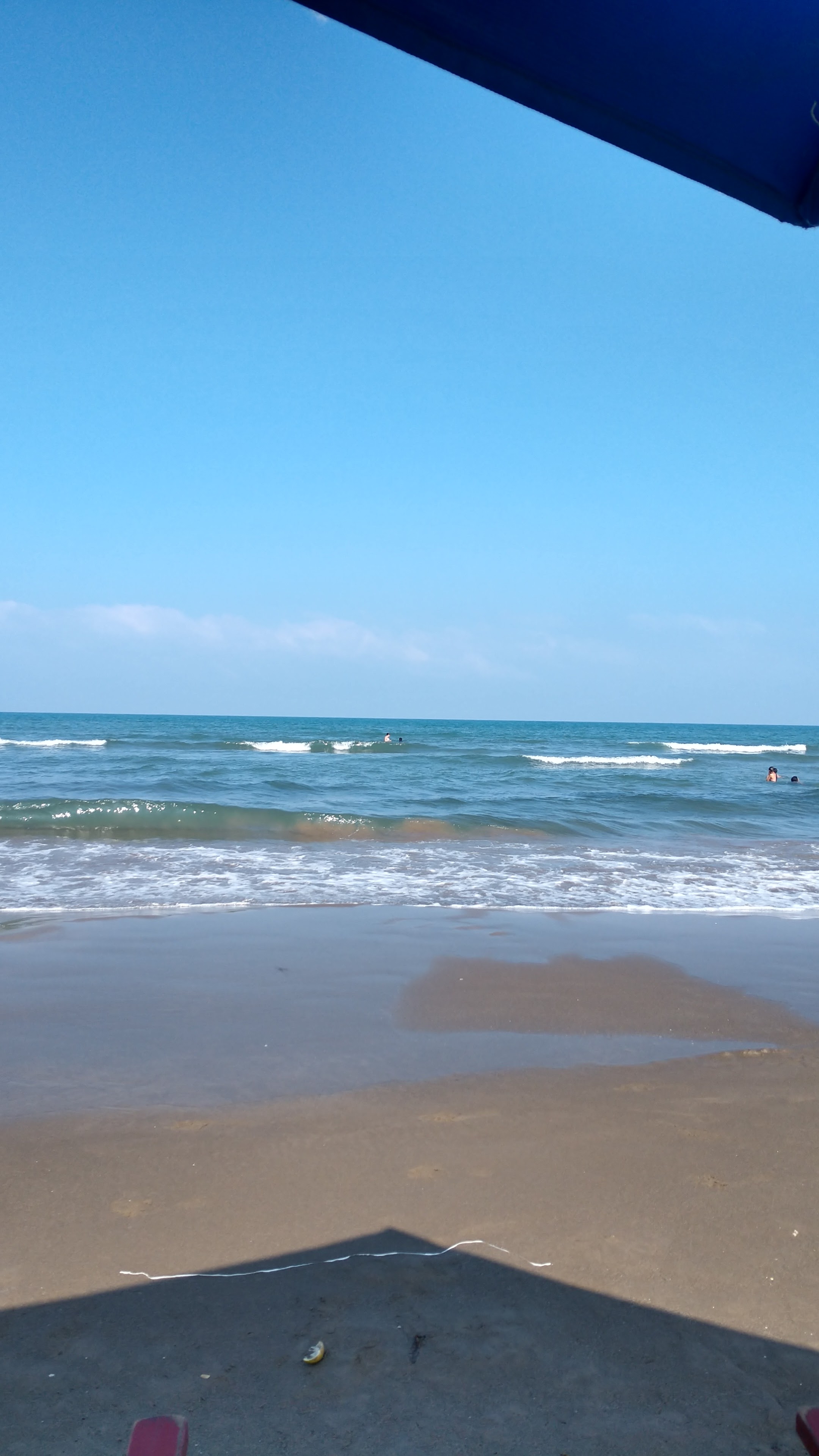 Palapa "Norma" image 4