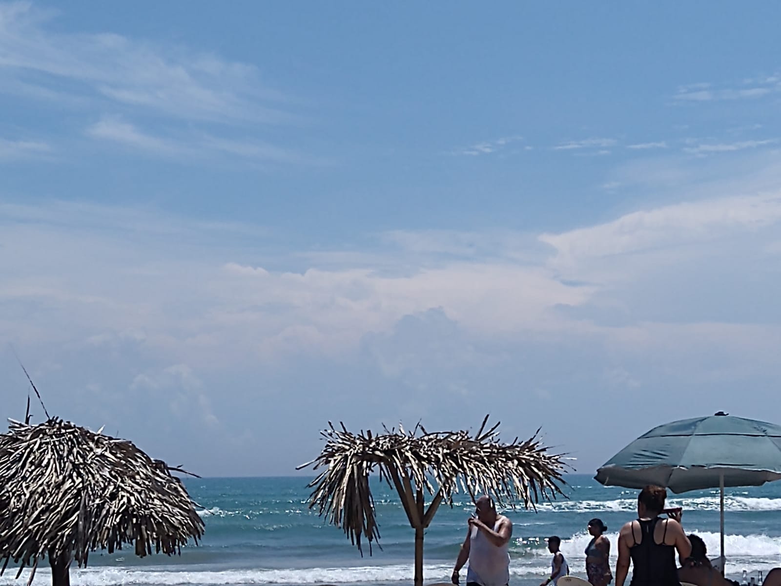 Palapa "Norma" image 5