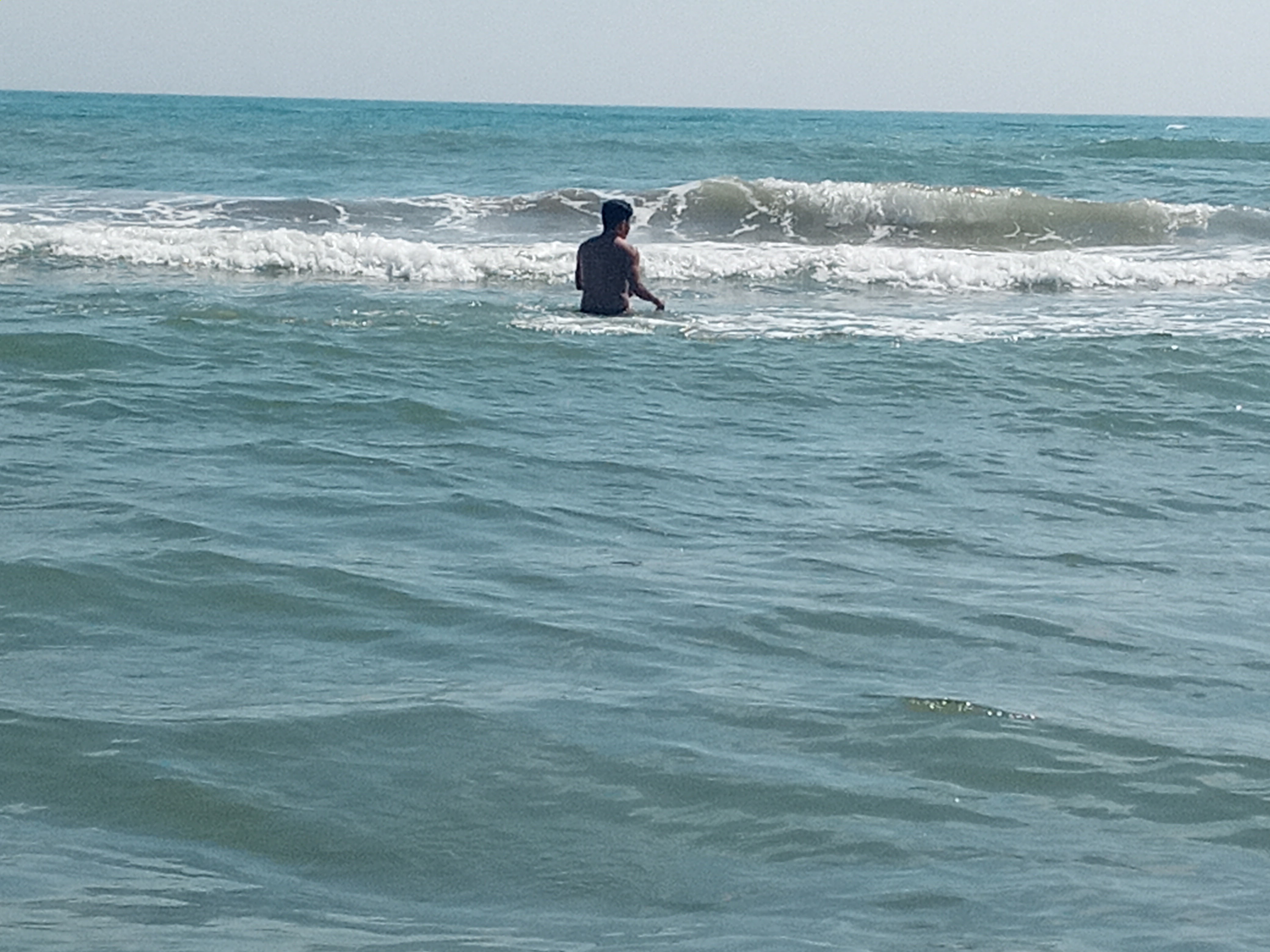 Palapa "Norma" image 6