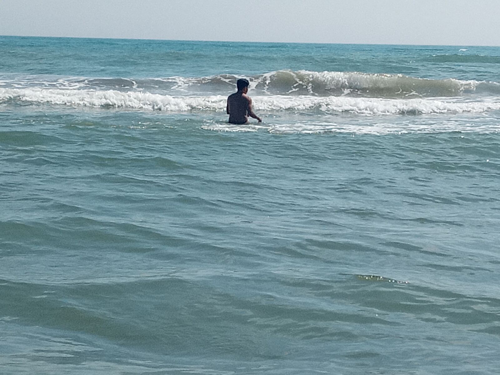 Palapa "Norma" image 6